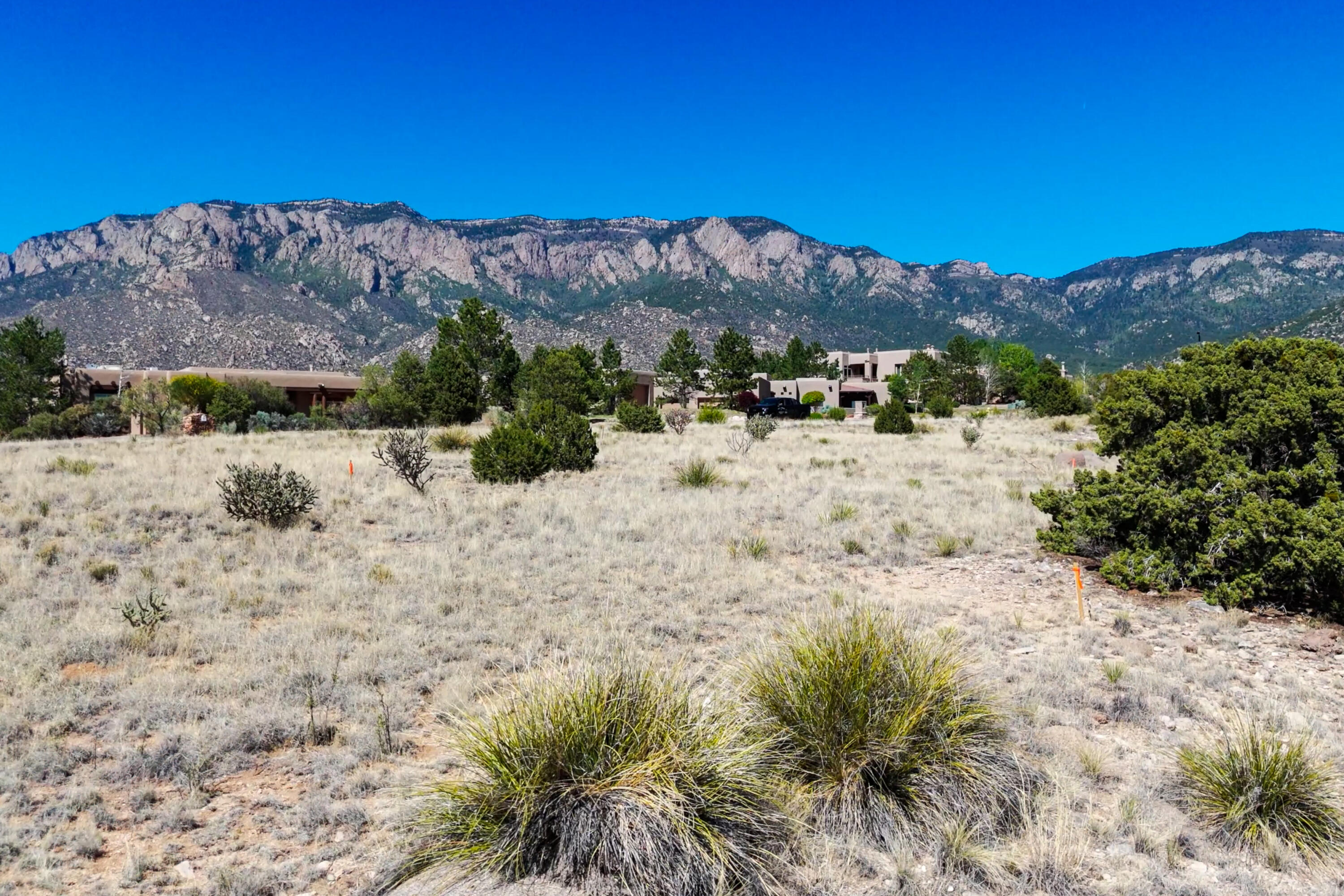 Photo 18 — 13608 Quaking Aspen Place NE