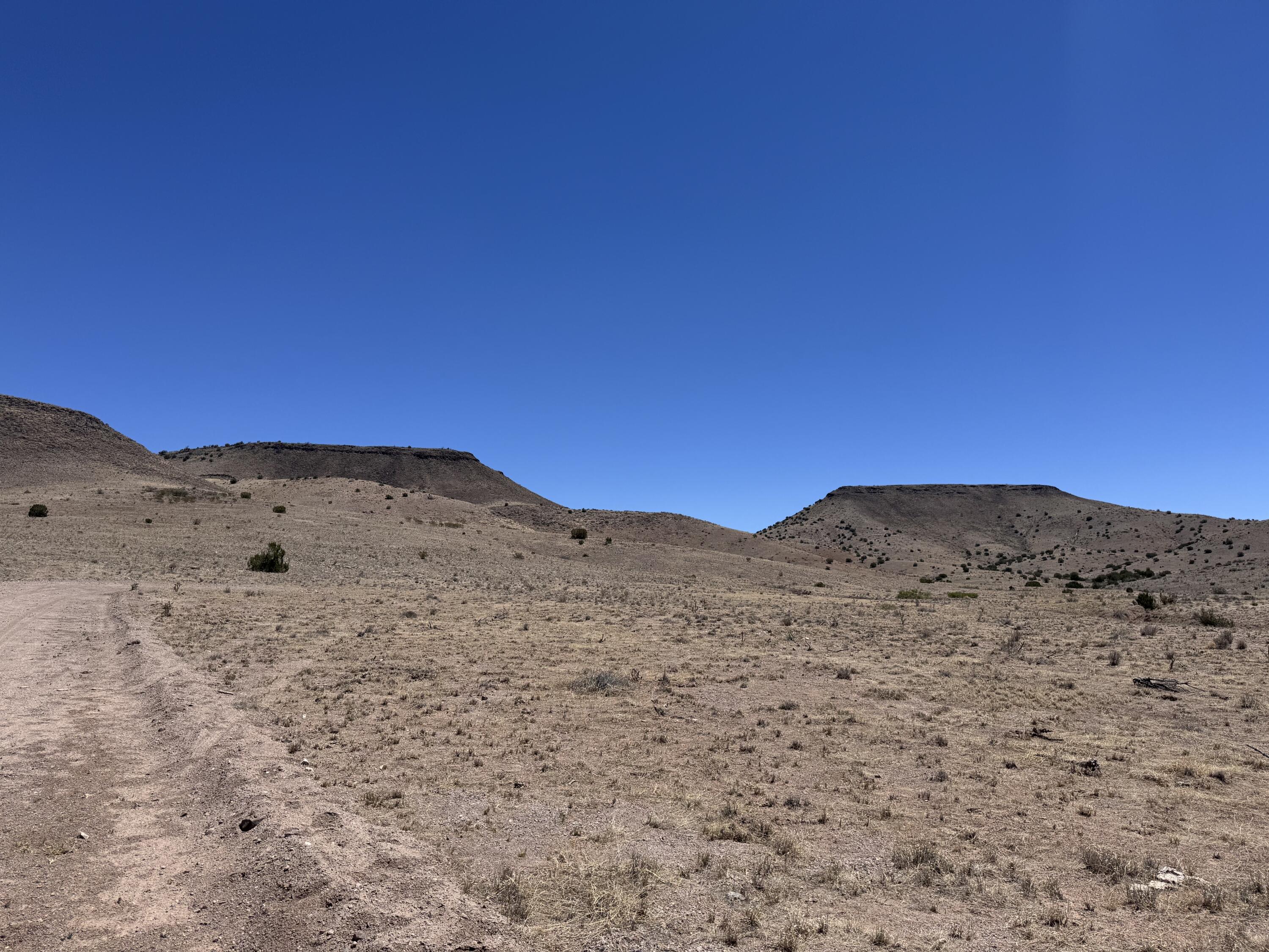 Photo 17 — 663 Willow Springs Ranch Road