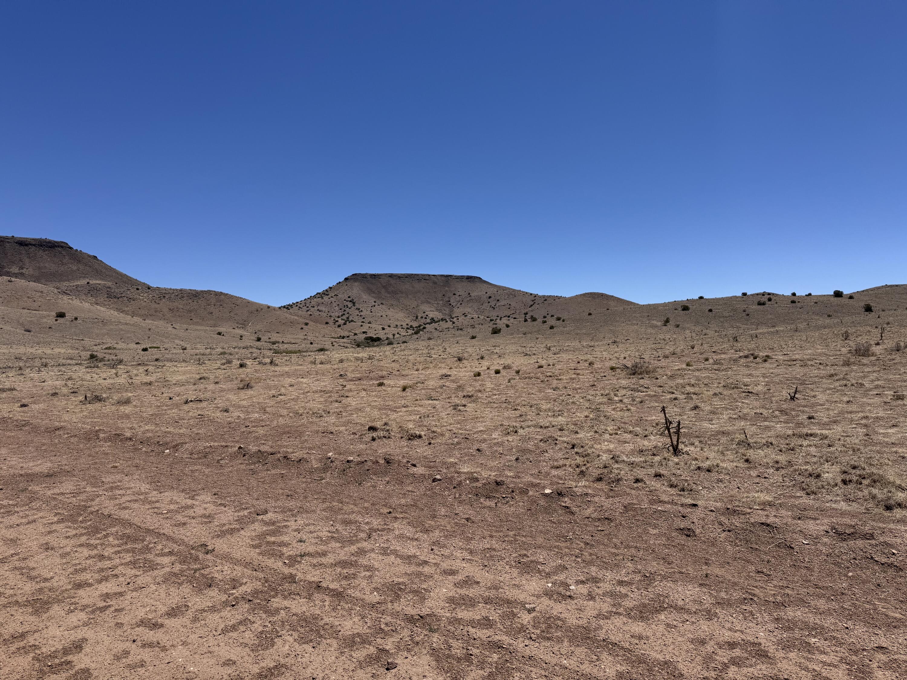 Photo 16 — 663 Willow Springs Ranch Road