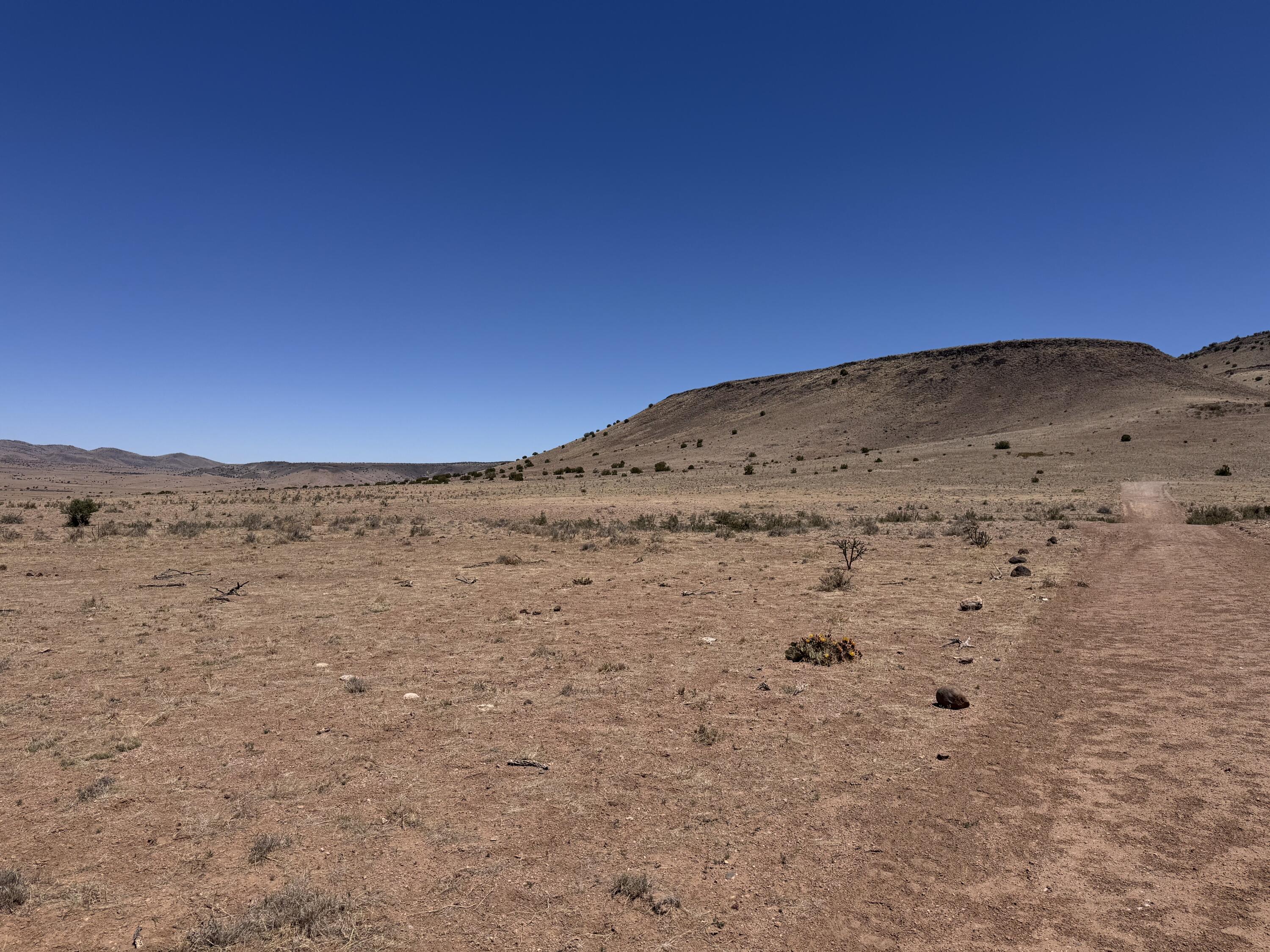 Photo 15 — 663 Willow Springs Ranch Road