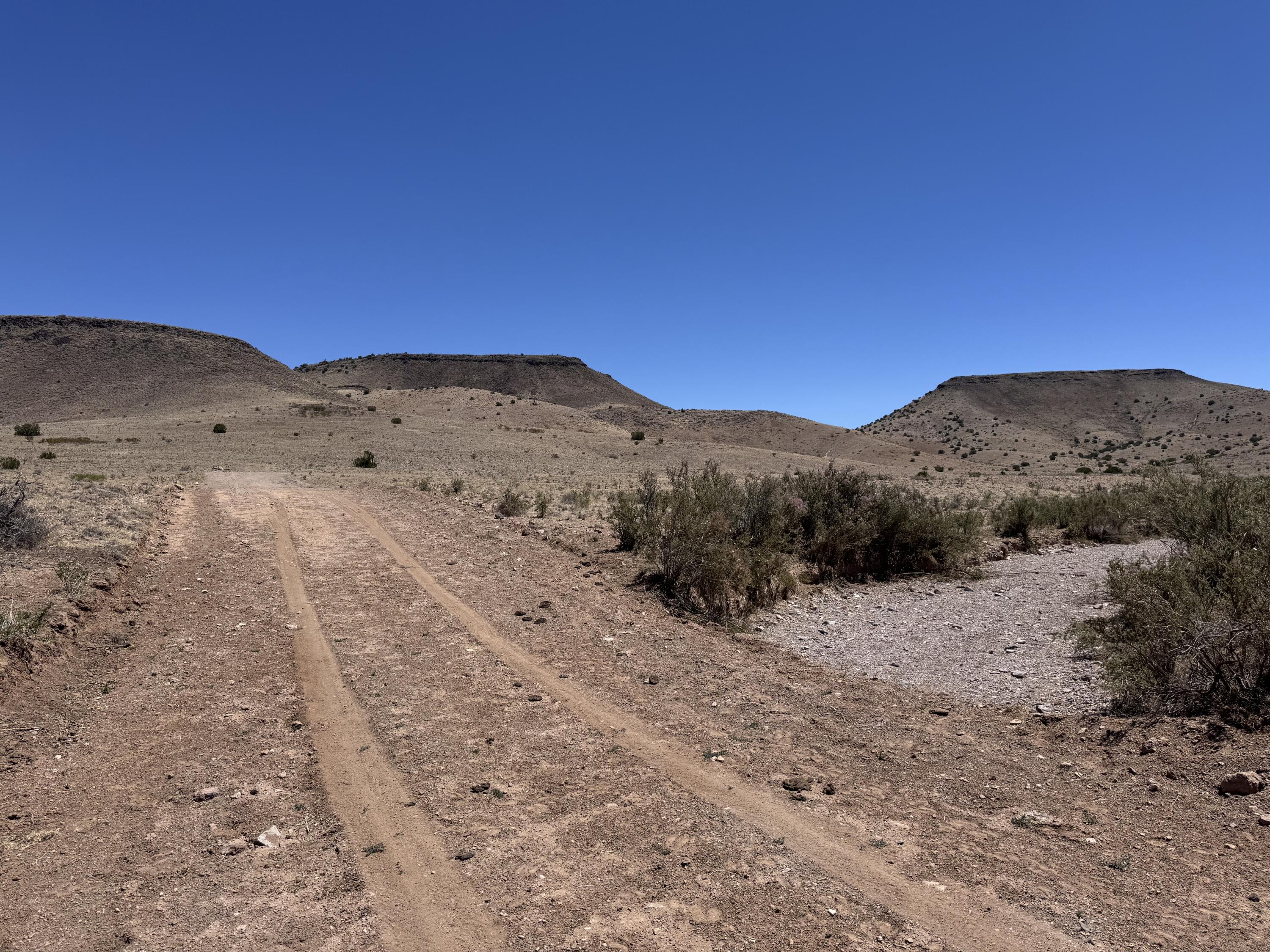 Photo 14 — 663 Willow Springs Ranch Road