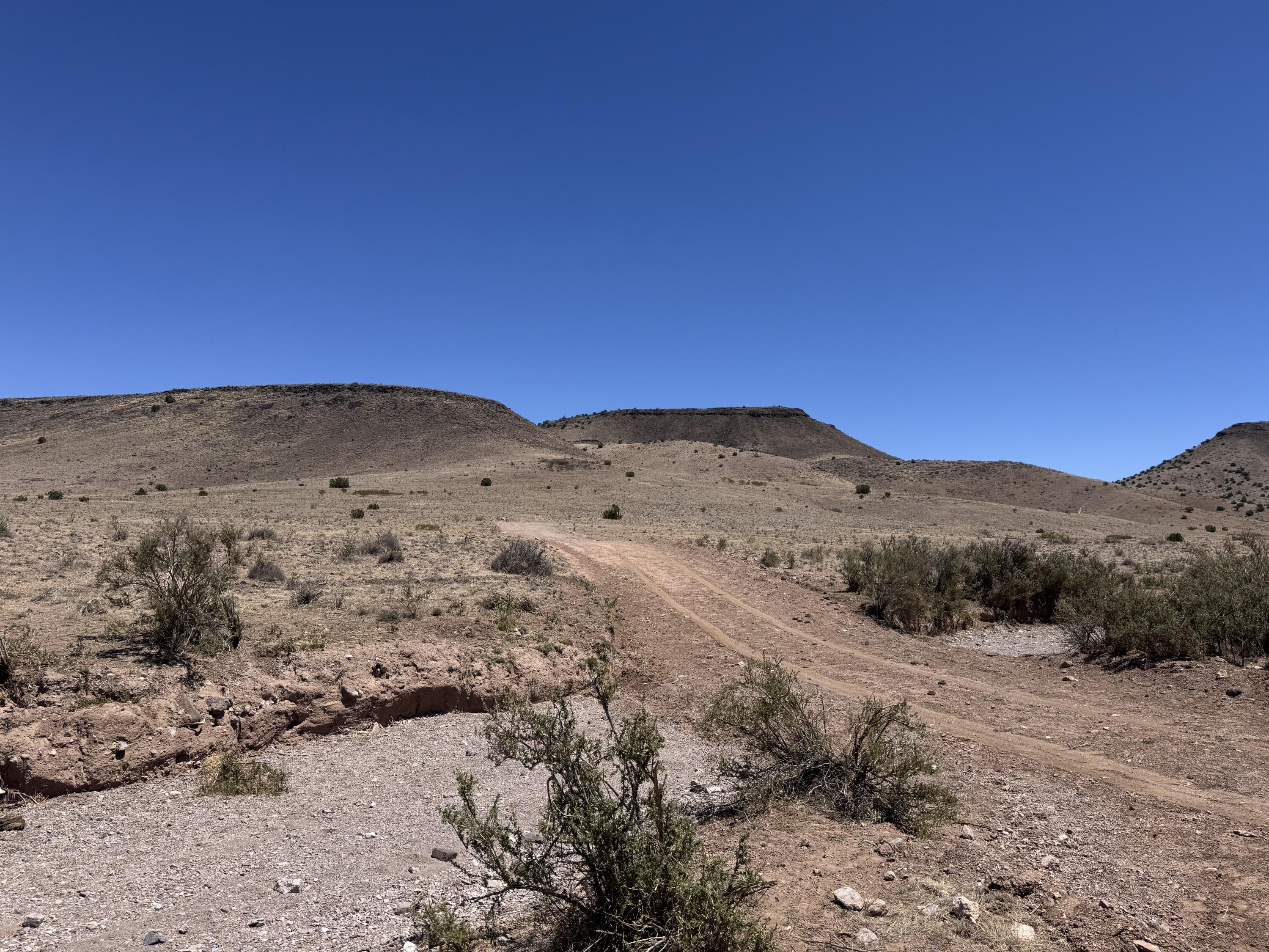 Photo 13 — 663 Willow Springs Ranch Road