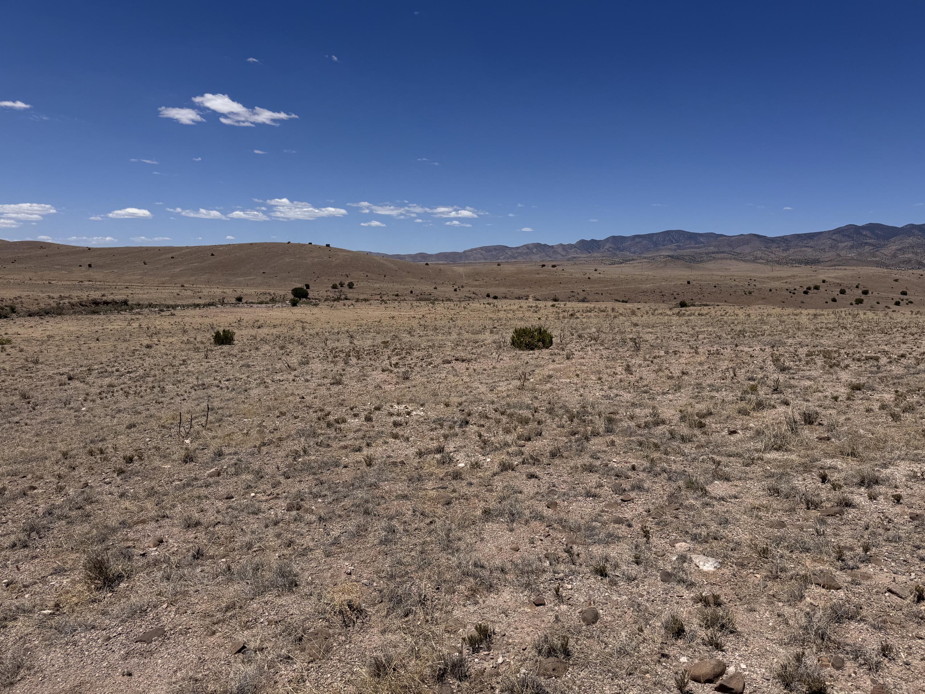Photo 12 — 663 Willow Springs Ranch Road