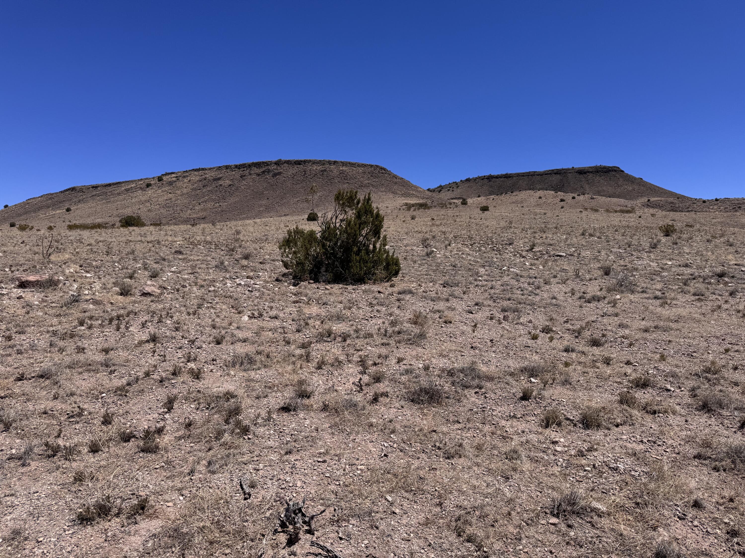 Photo 11 — 663 Willow Springs Ranch Road
