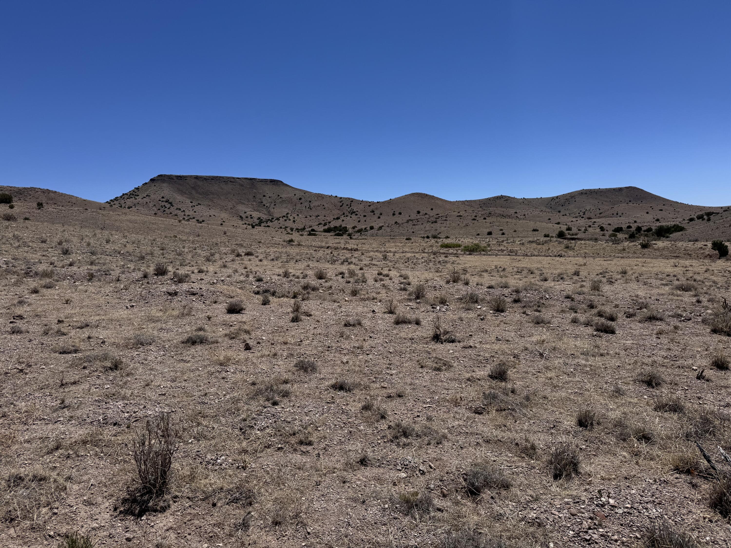Photo 10 — 663 Willow Springs Ranch Road