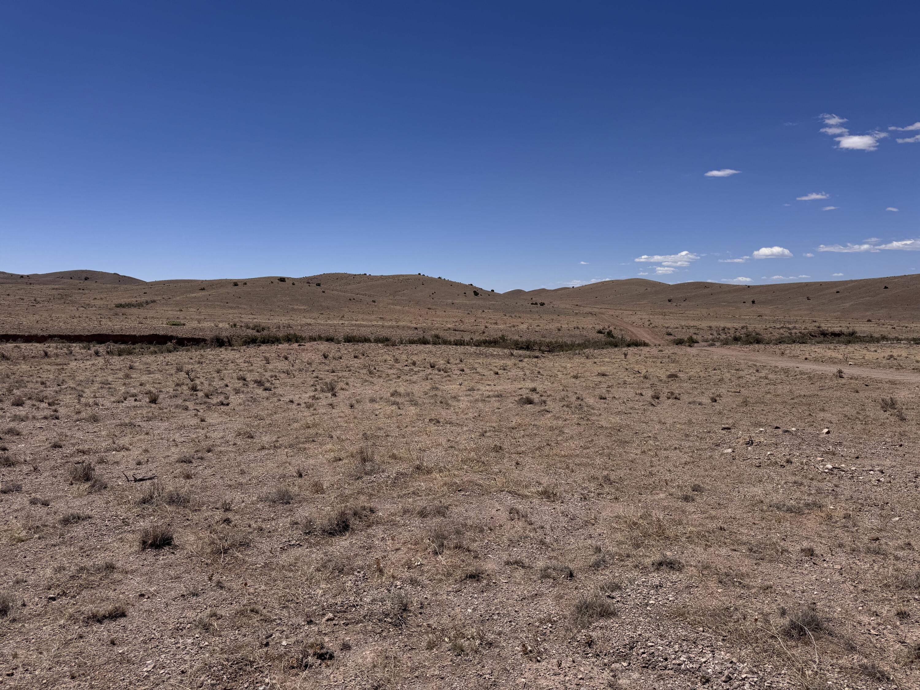 Photo 9 — 663 Willow Springs Ranch Road