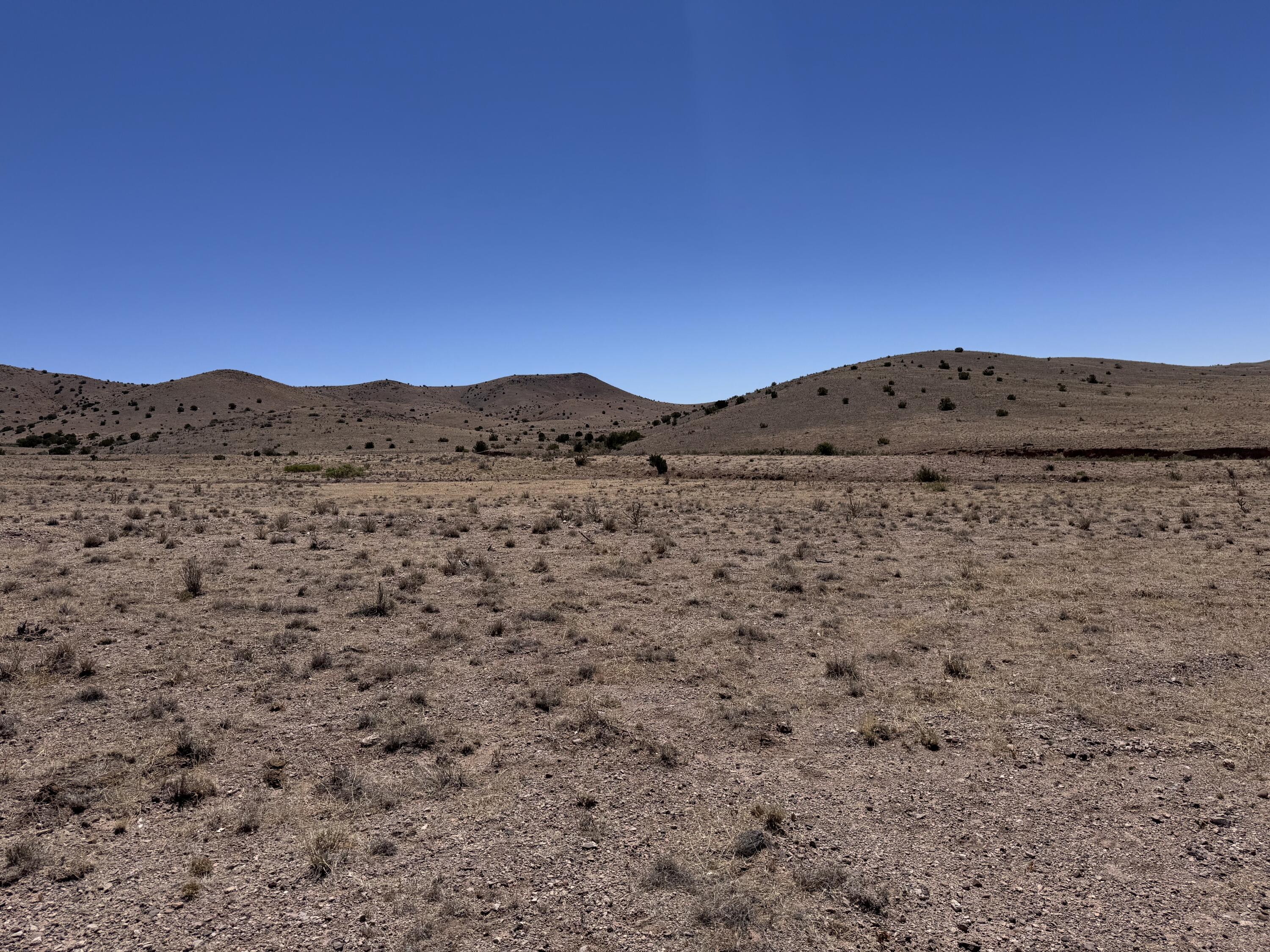 Photo 8 — 663 Willow Springs Ranch Road