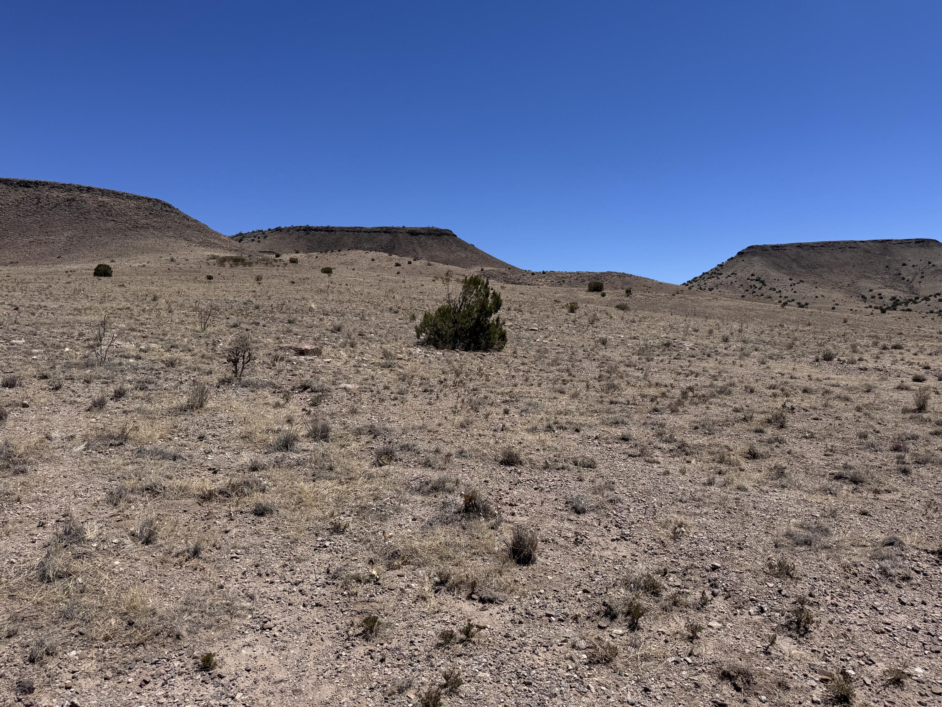 Photo 7 — 663 Willow Springs Ranch Road