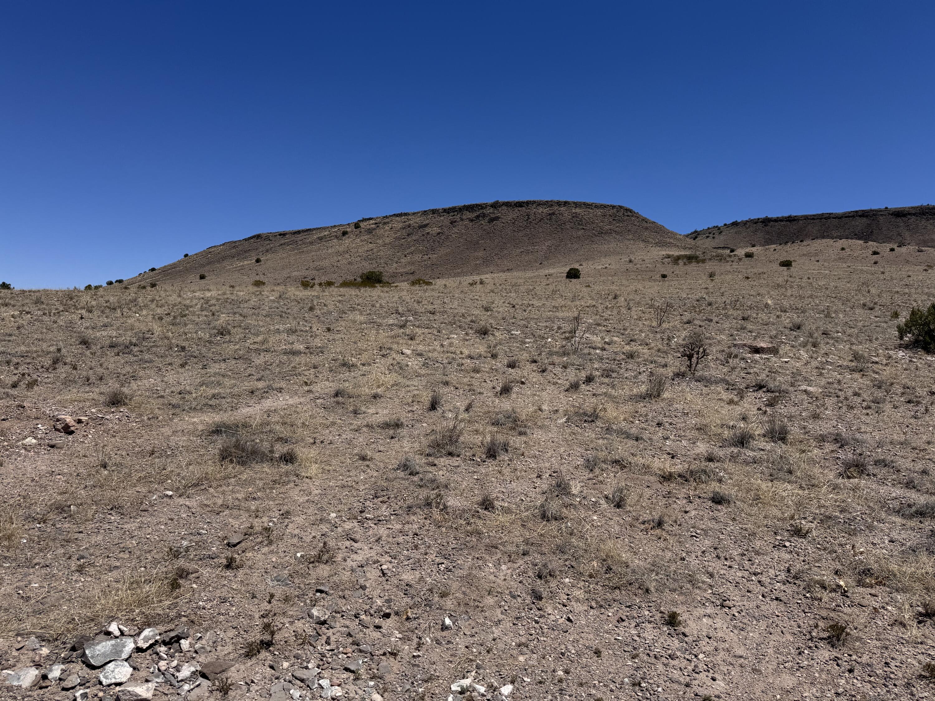 Photo 6 — 663 Willow Springs Ranch Road