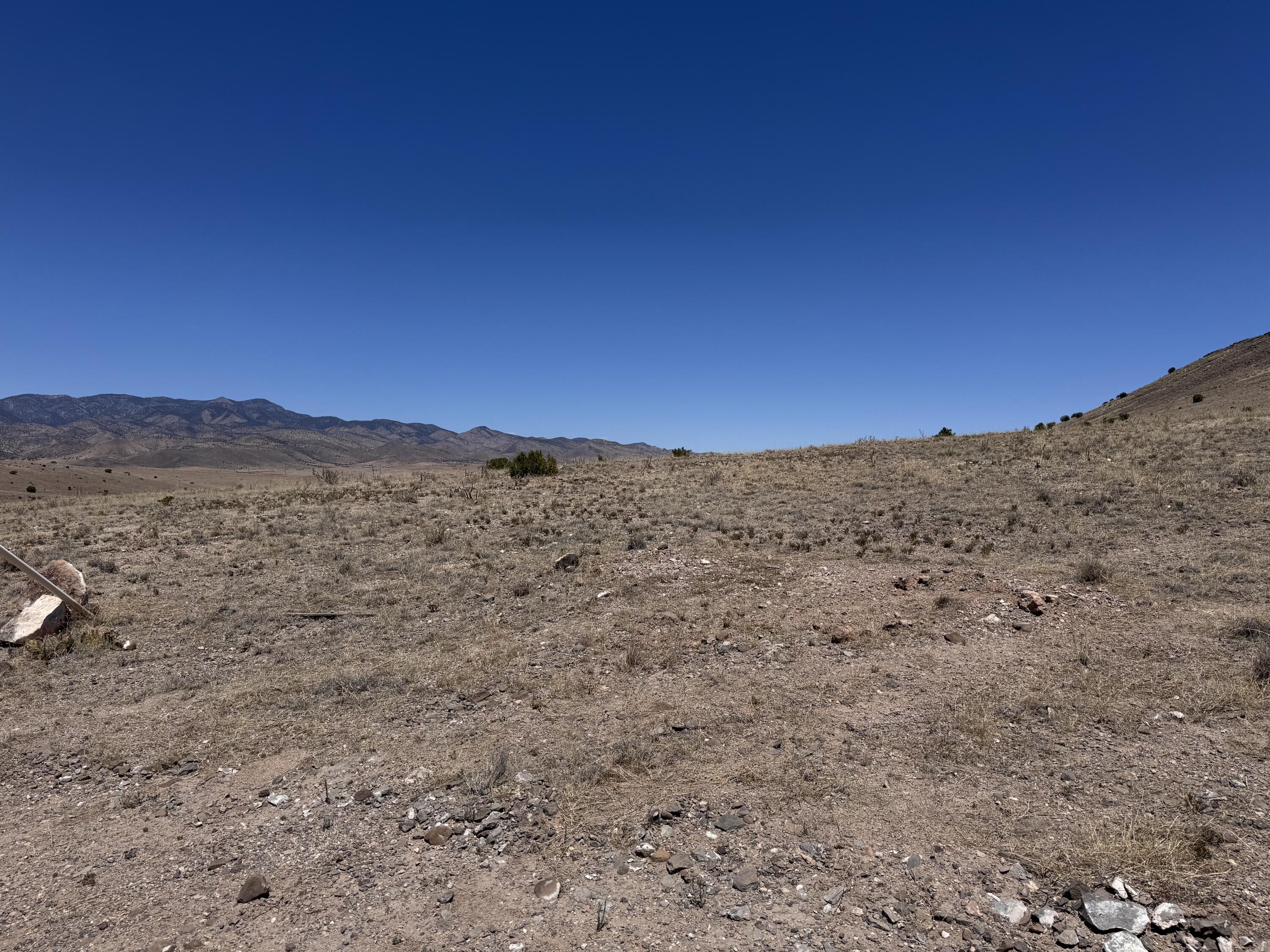Photo 5 — 663 Willow Springs Ranch Road