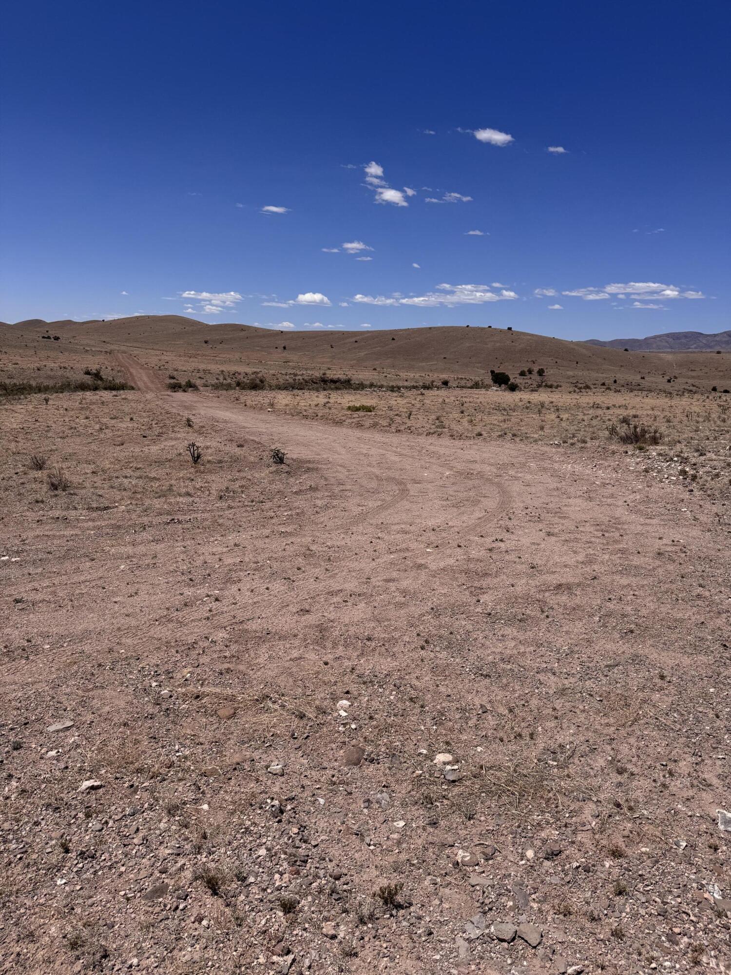 Photo 3 — 663 Willow Springs Ranch Road