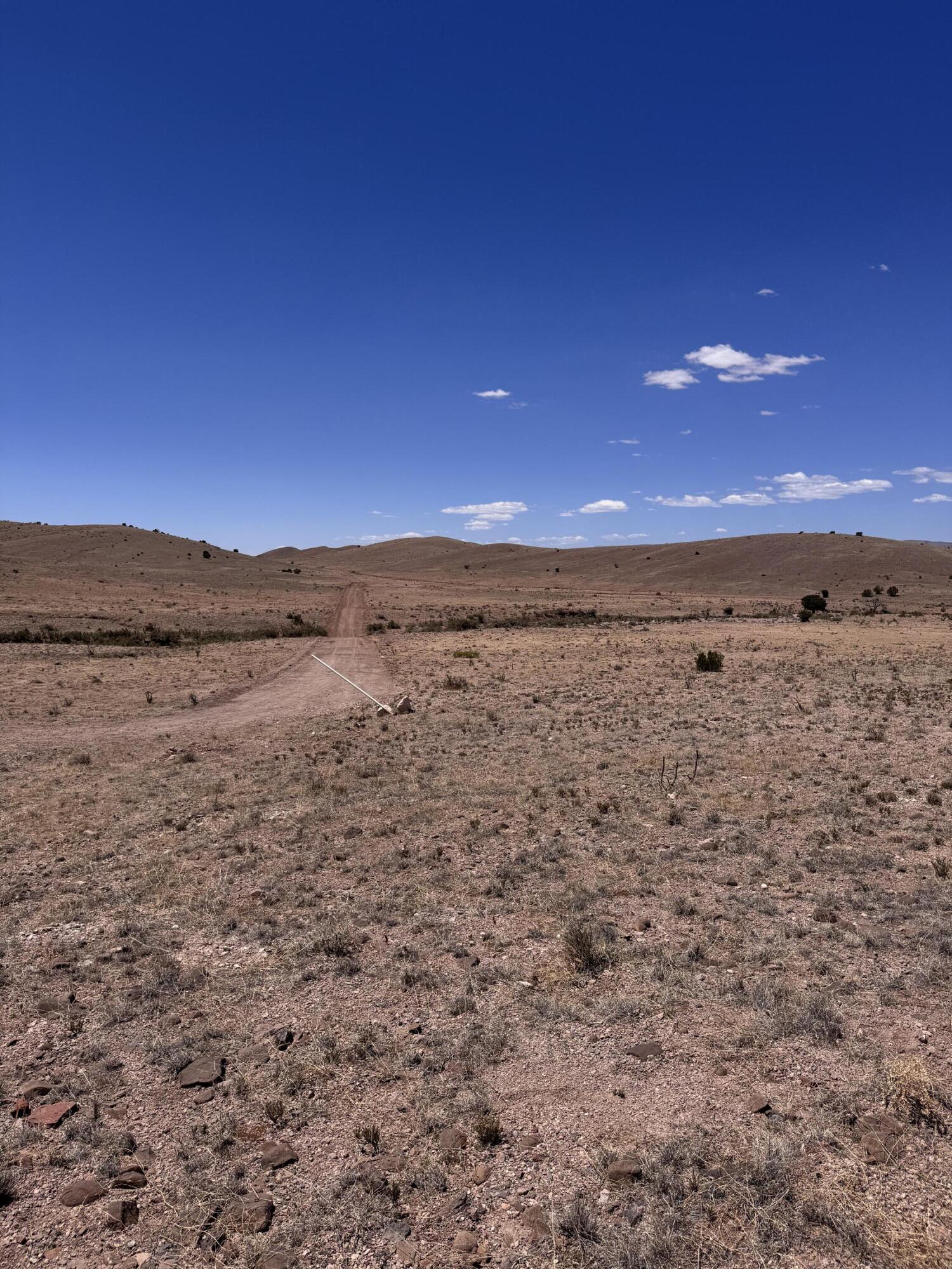 Photo 2 — 663 Willow Springs Ranch Road