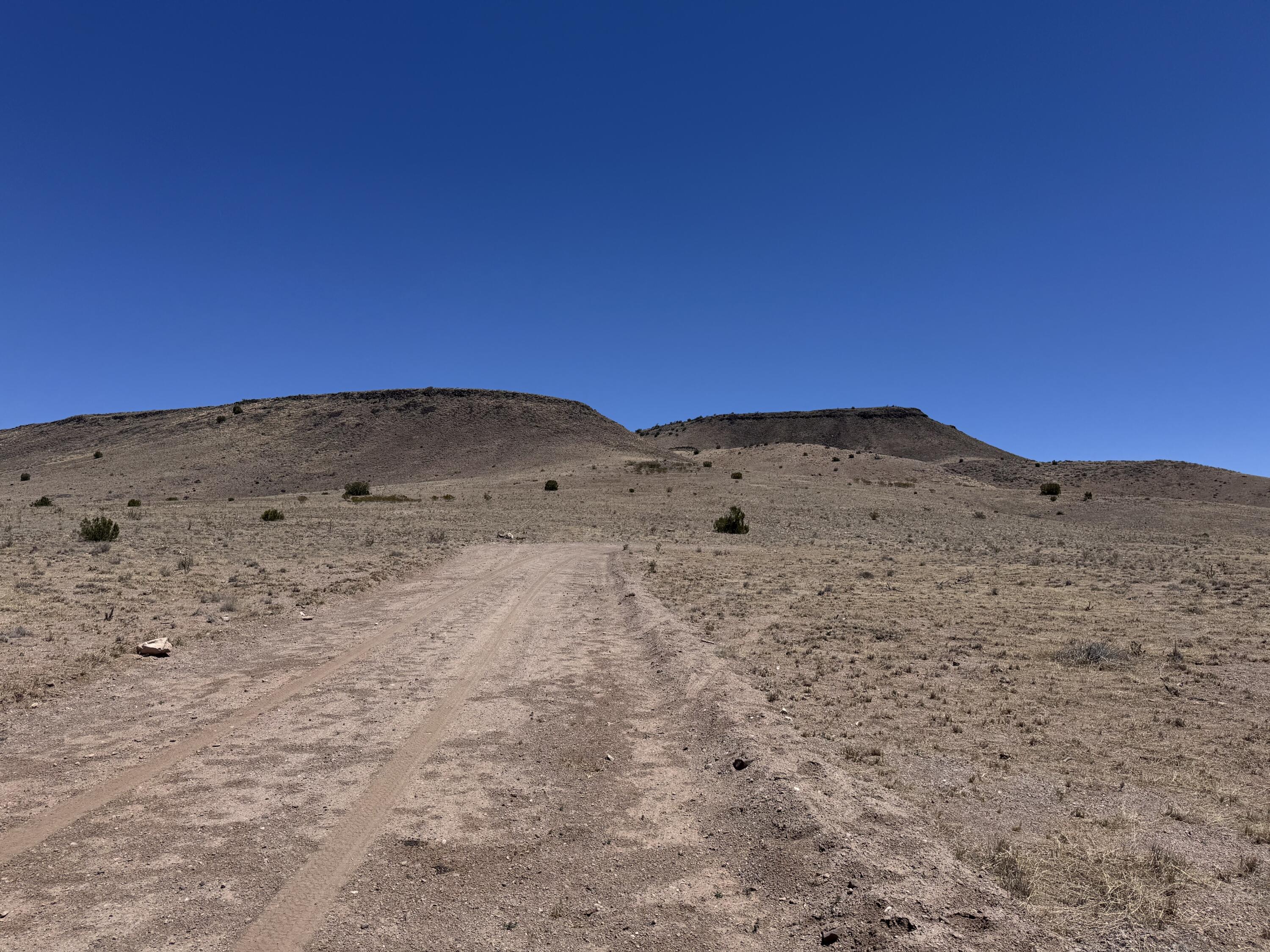 Photo 20 — 663 Willow Springs Ranch Road
