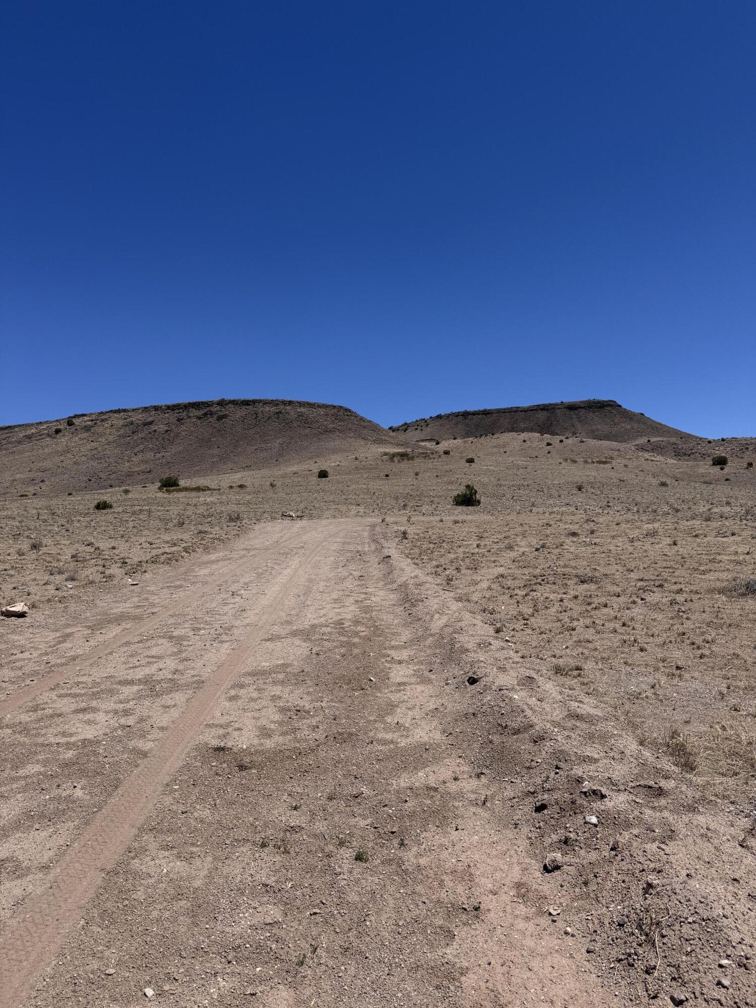Photo 19 — 663 Willow Springs Ranch Road