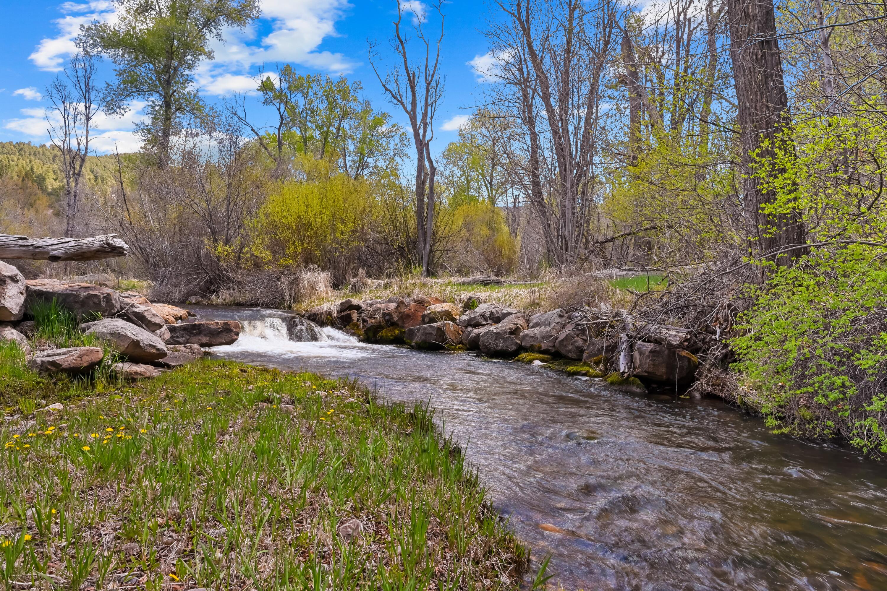 Photo 4 — 220 County Road 342