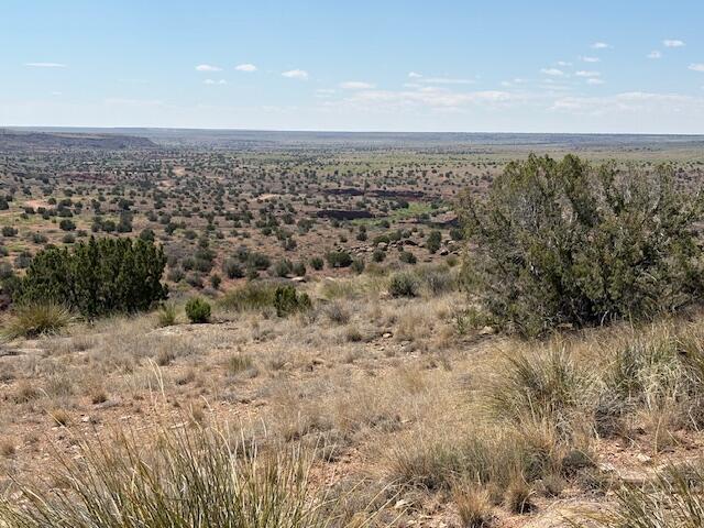 Photo 3 — Lot 14 Hyline Place
