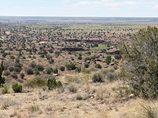 Photo 4 — Lot 14 Hyline Place