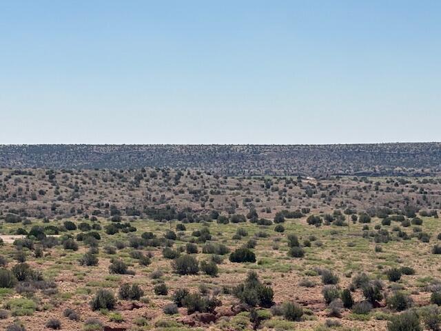 Photo 5 — Lot 14 Hyline Place