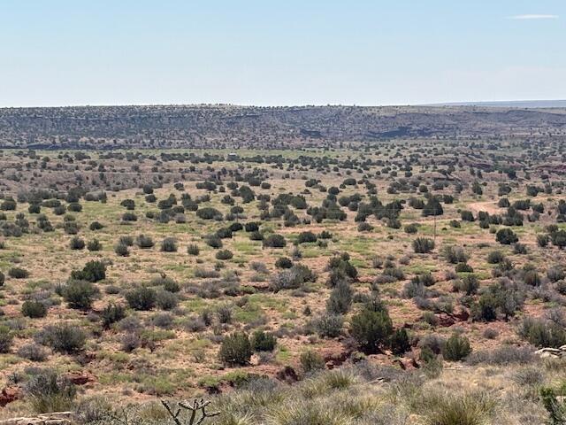 Photo 6 — Lot 14 Hyline Place