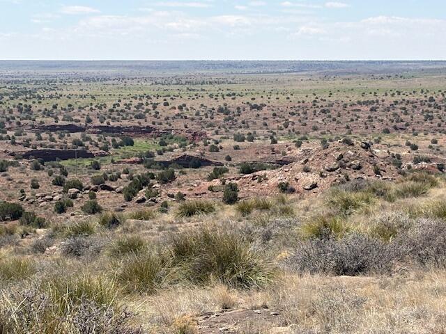 Photo 7 — Lot 14 Hyline Place
