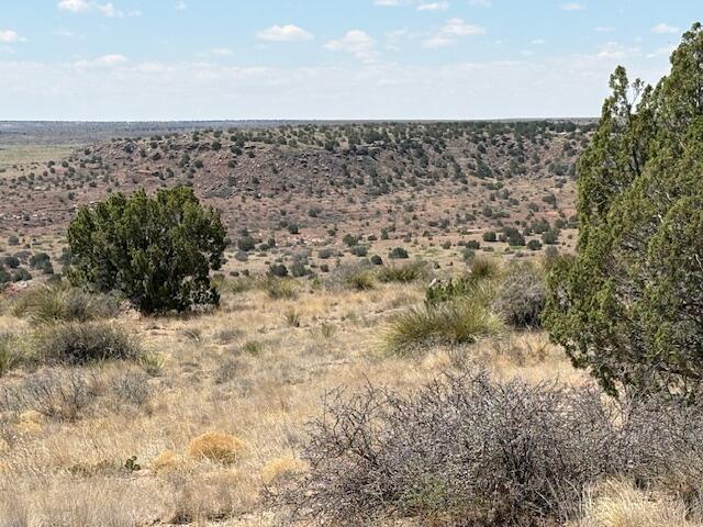 Photo 8 — Lot 14 Hyline Place