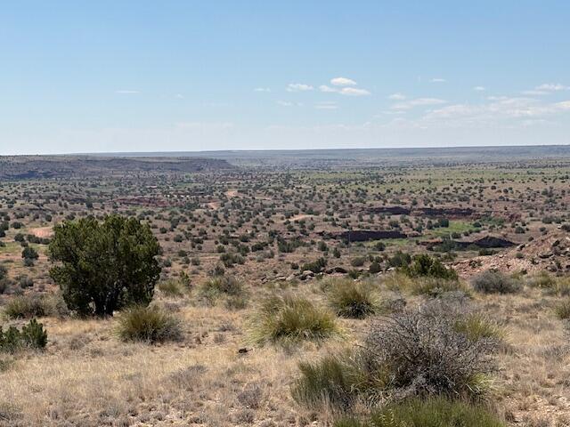 Photo 11 — Lot 14 Hyline Place
