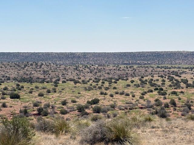Photo 12 — Lot 14 Hyline Place