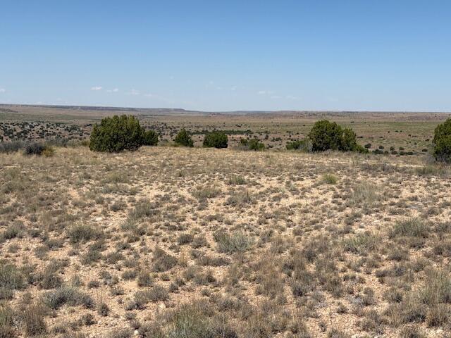 Photo 13 — Lot 14 Hyline Place