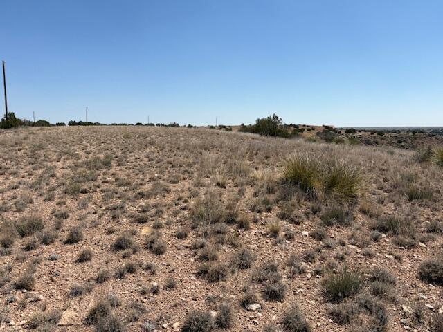 Photo 14 — Lot 14 Hyline Place