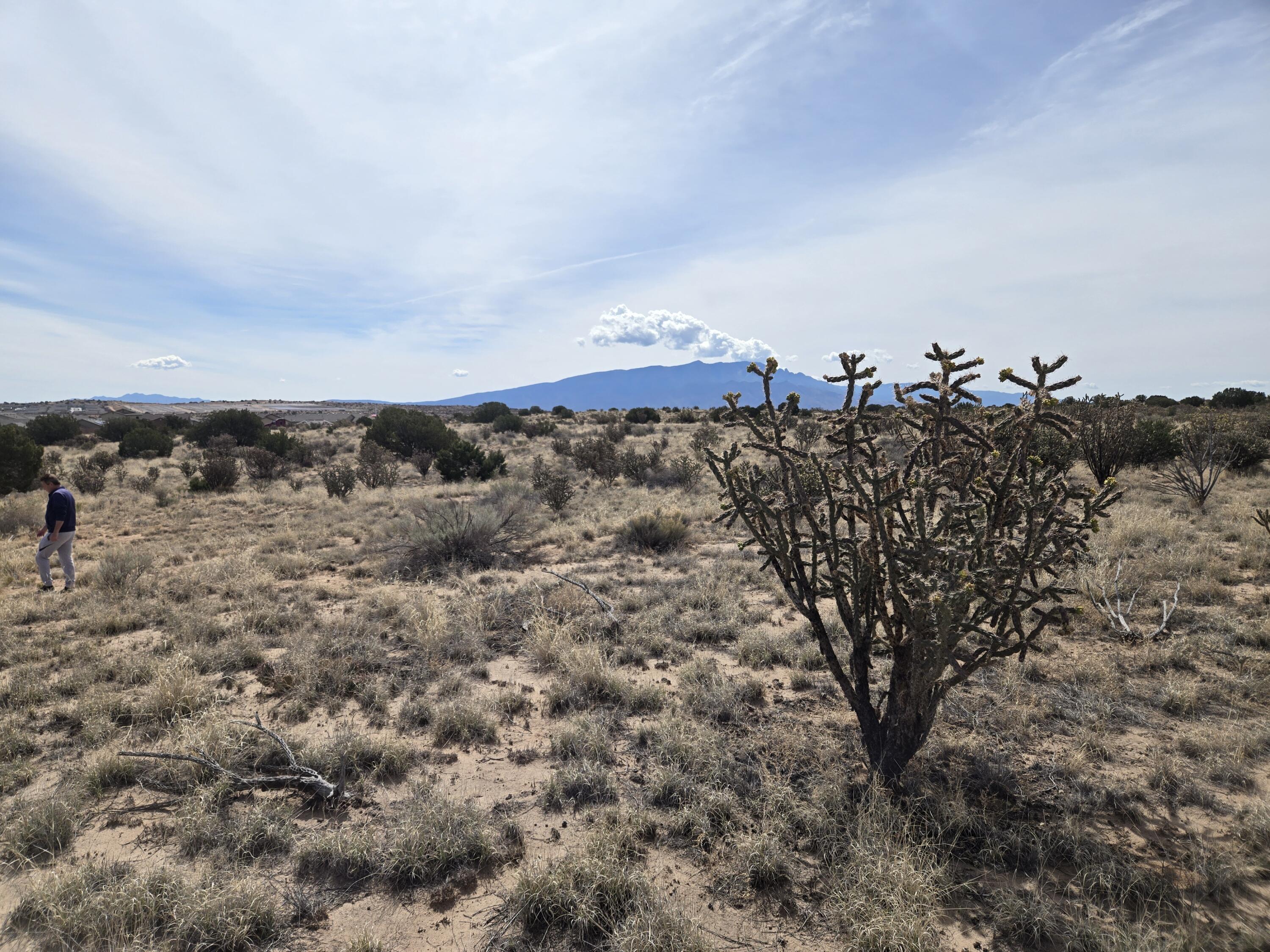 Photo 3 —  Greystone Loop 25