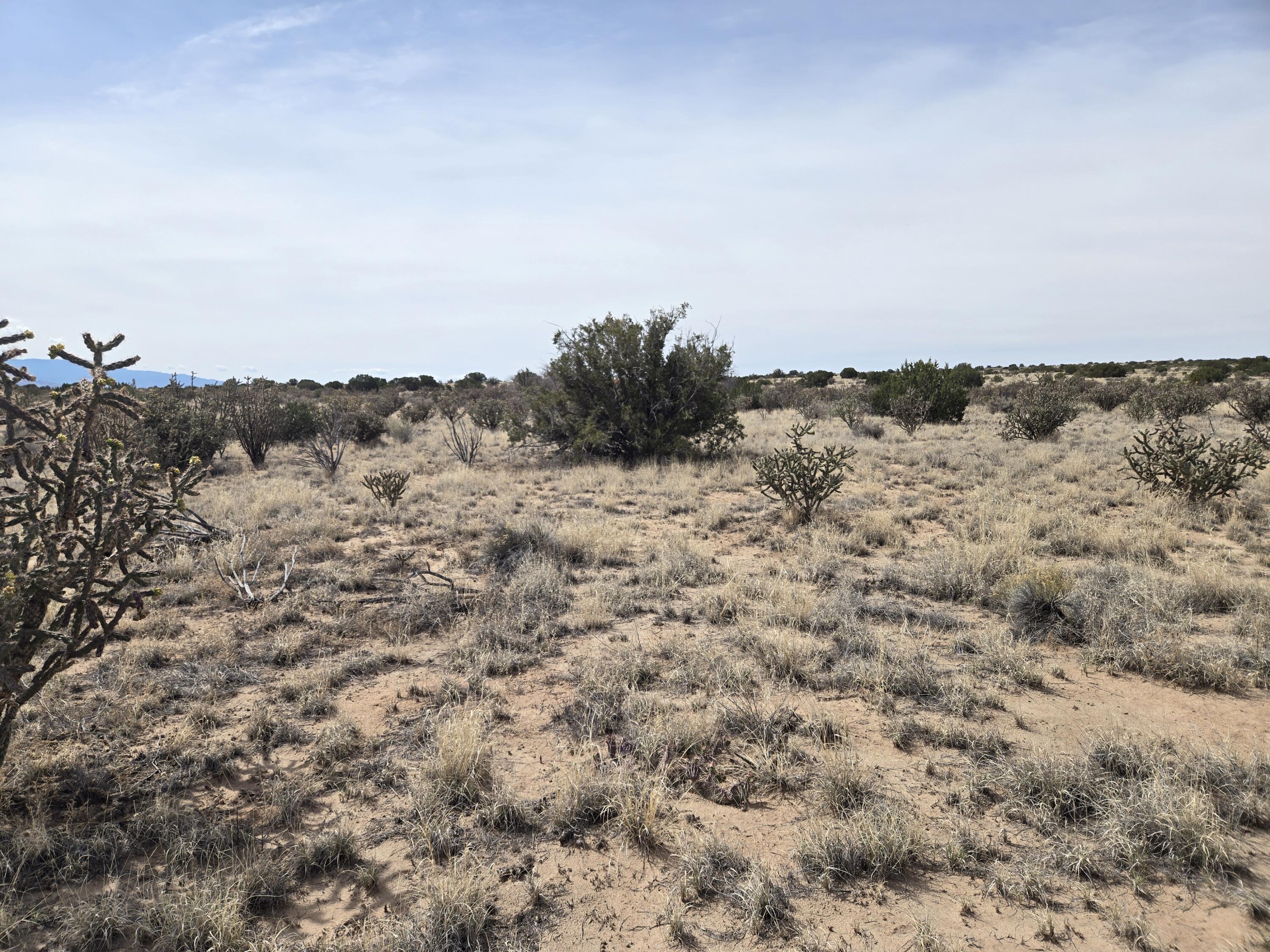 Photo 5 —  Greystone Loop 25