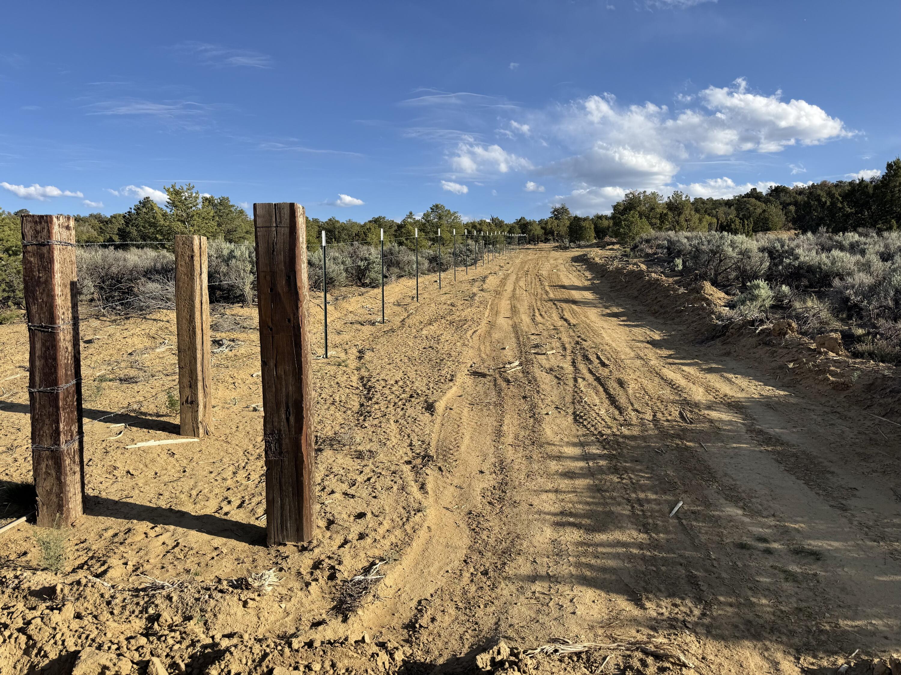 Photo 6 —  Catalpa Canyon Road Lot 5