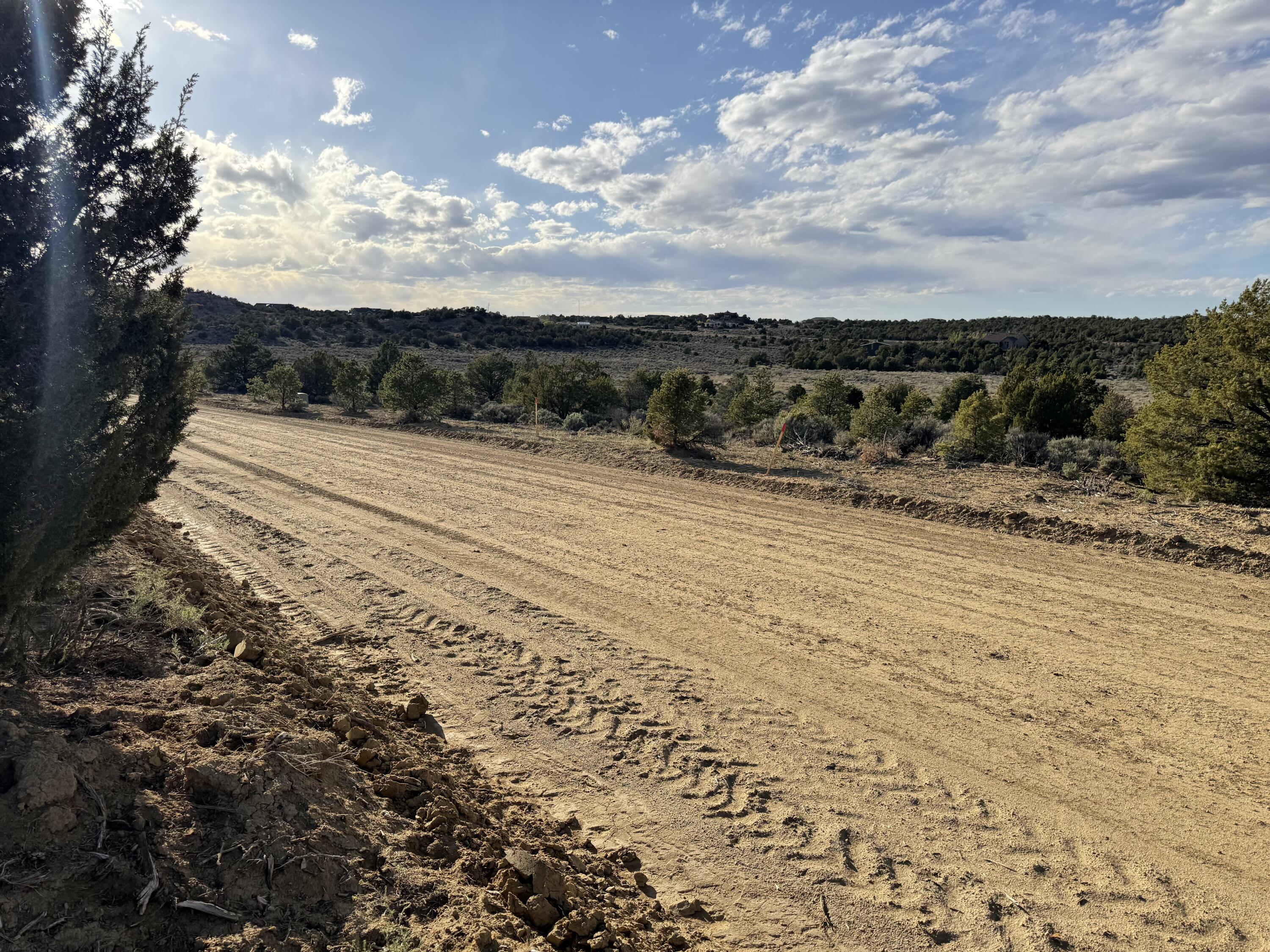 Photo 4 —  Catalpa Canyon Road Lot 5