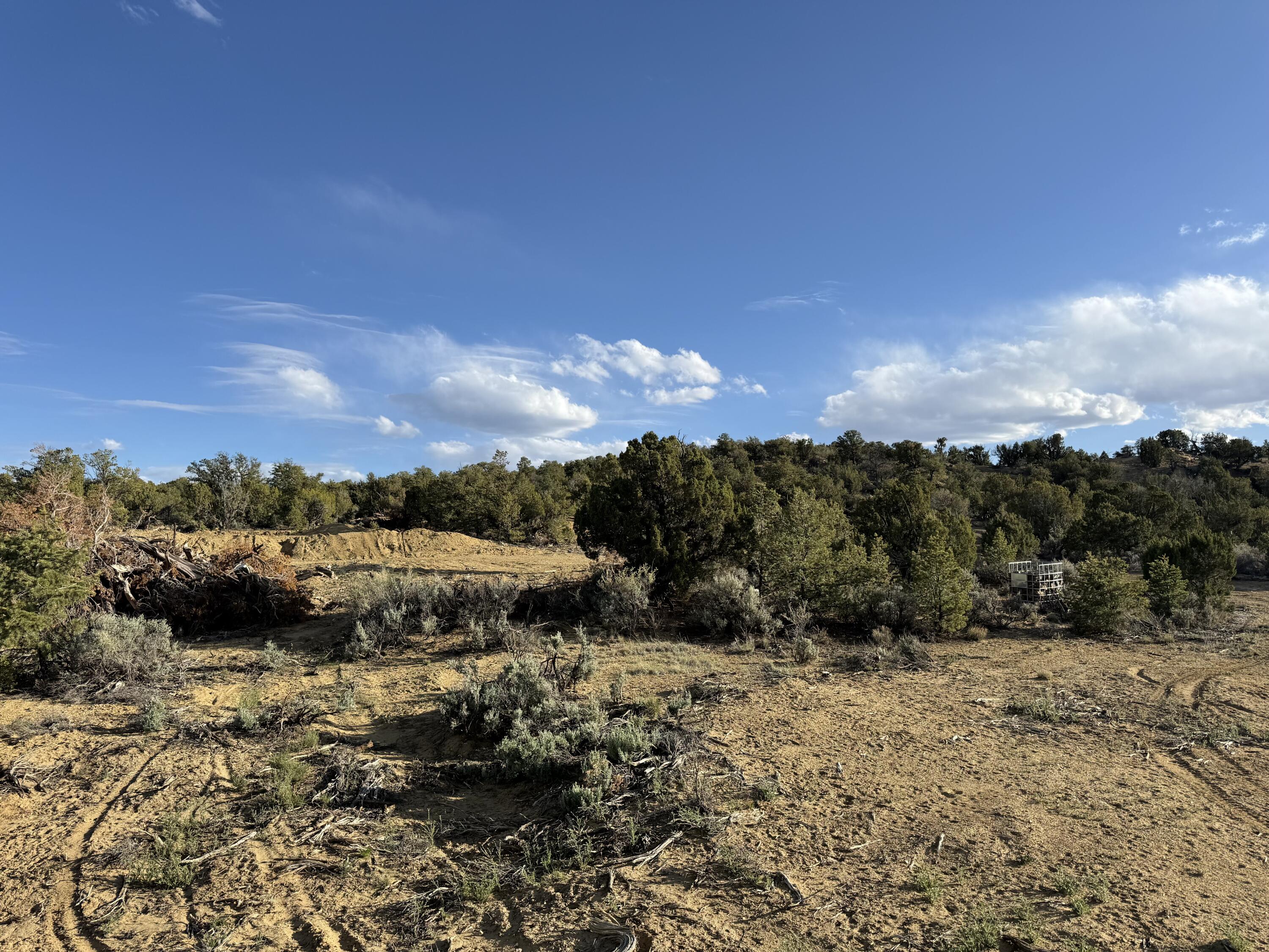 Photo 3 —  Catalpa Canyon Road Lot 5