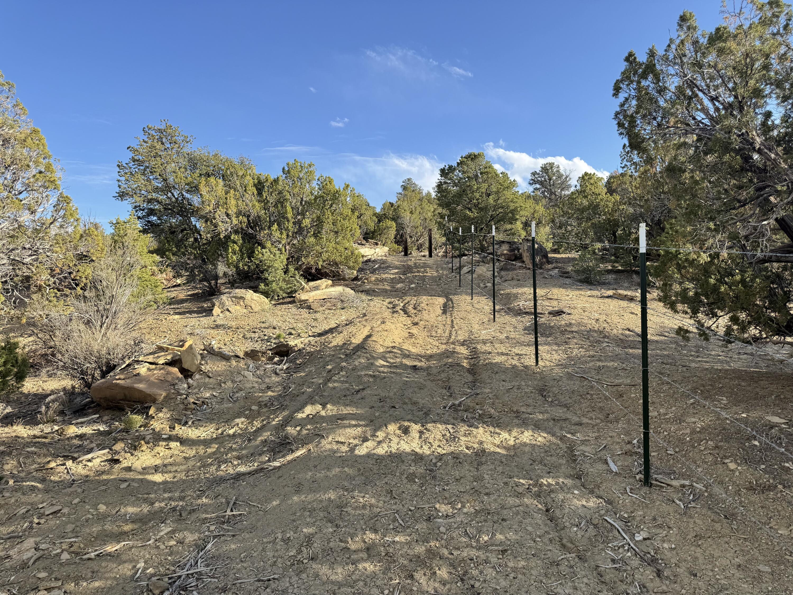 Photo 16 —  Catalpa Canyon Road Lot 5