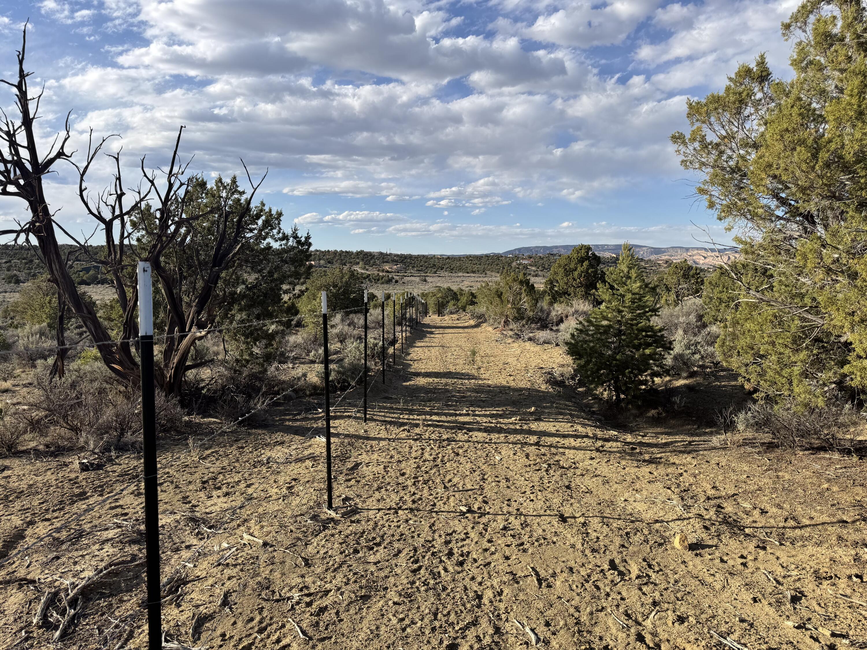 Photo 15 —  Catalpa Canyon Road Lot 5
