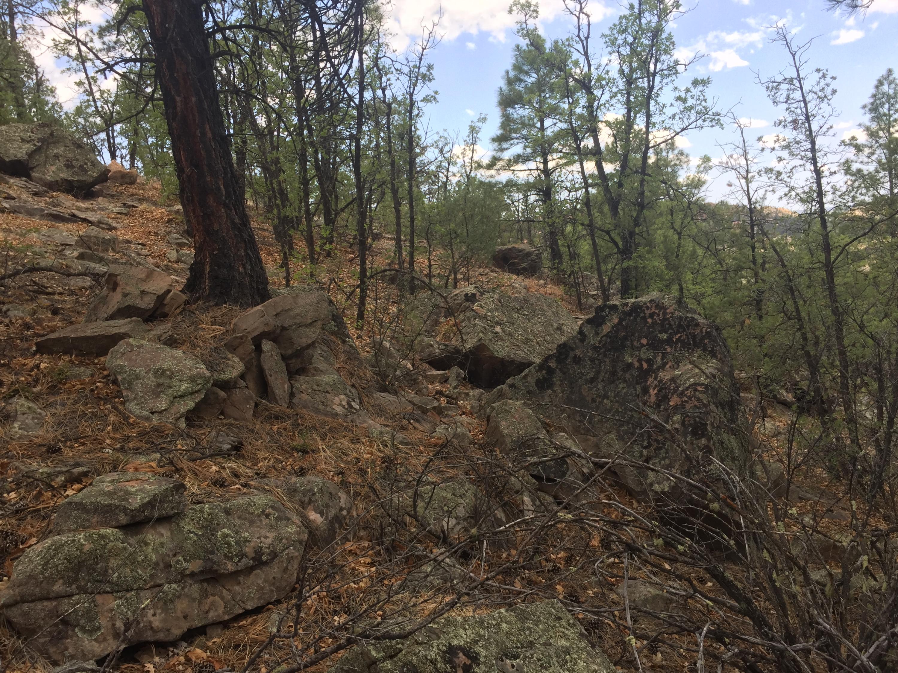 Photo 20 — Lots 20-23 Box S Ranch Road