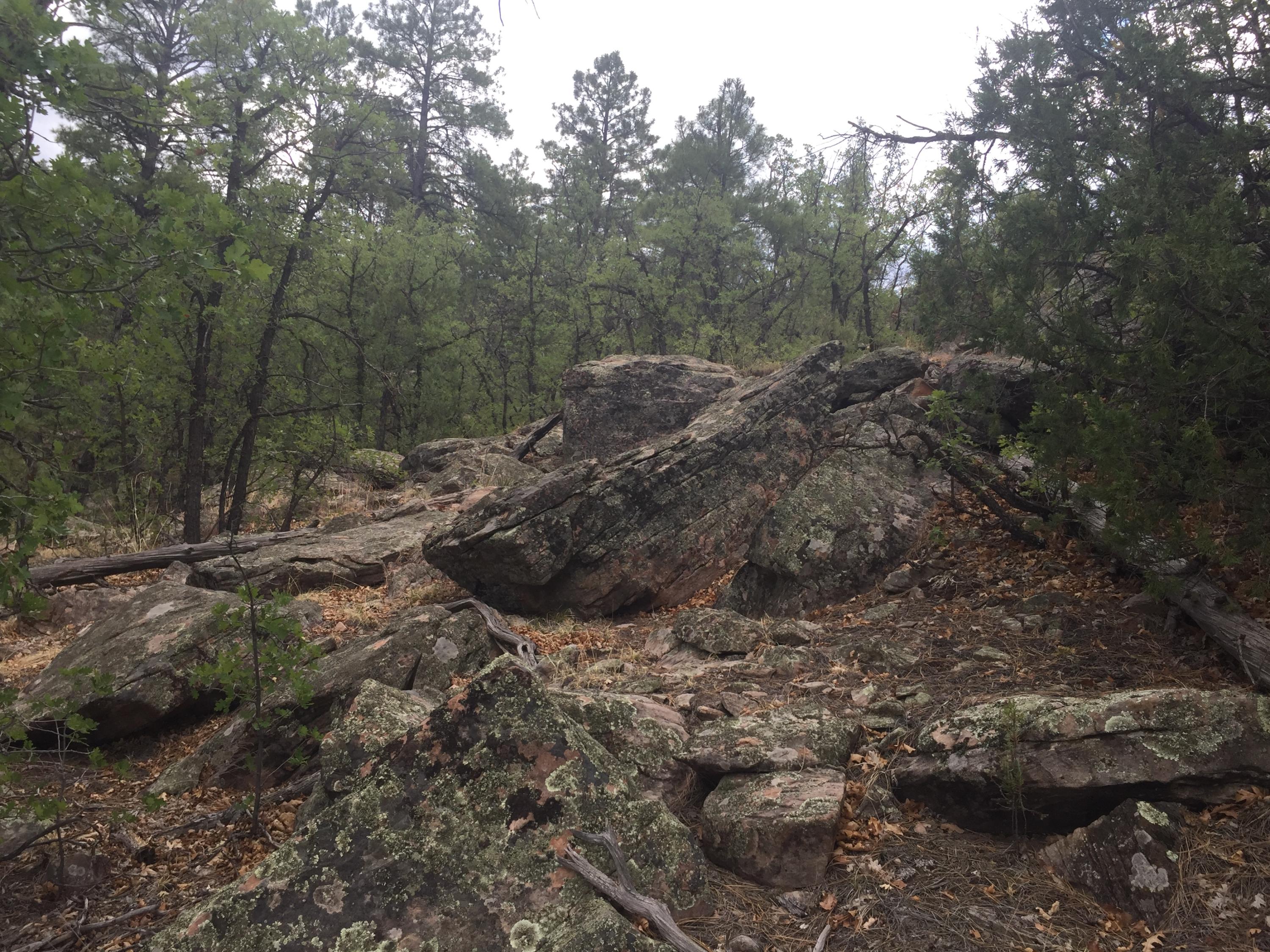 Photo 19 — Lots 20-23 Box S Ranch Road