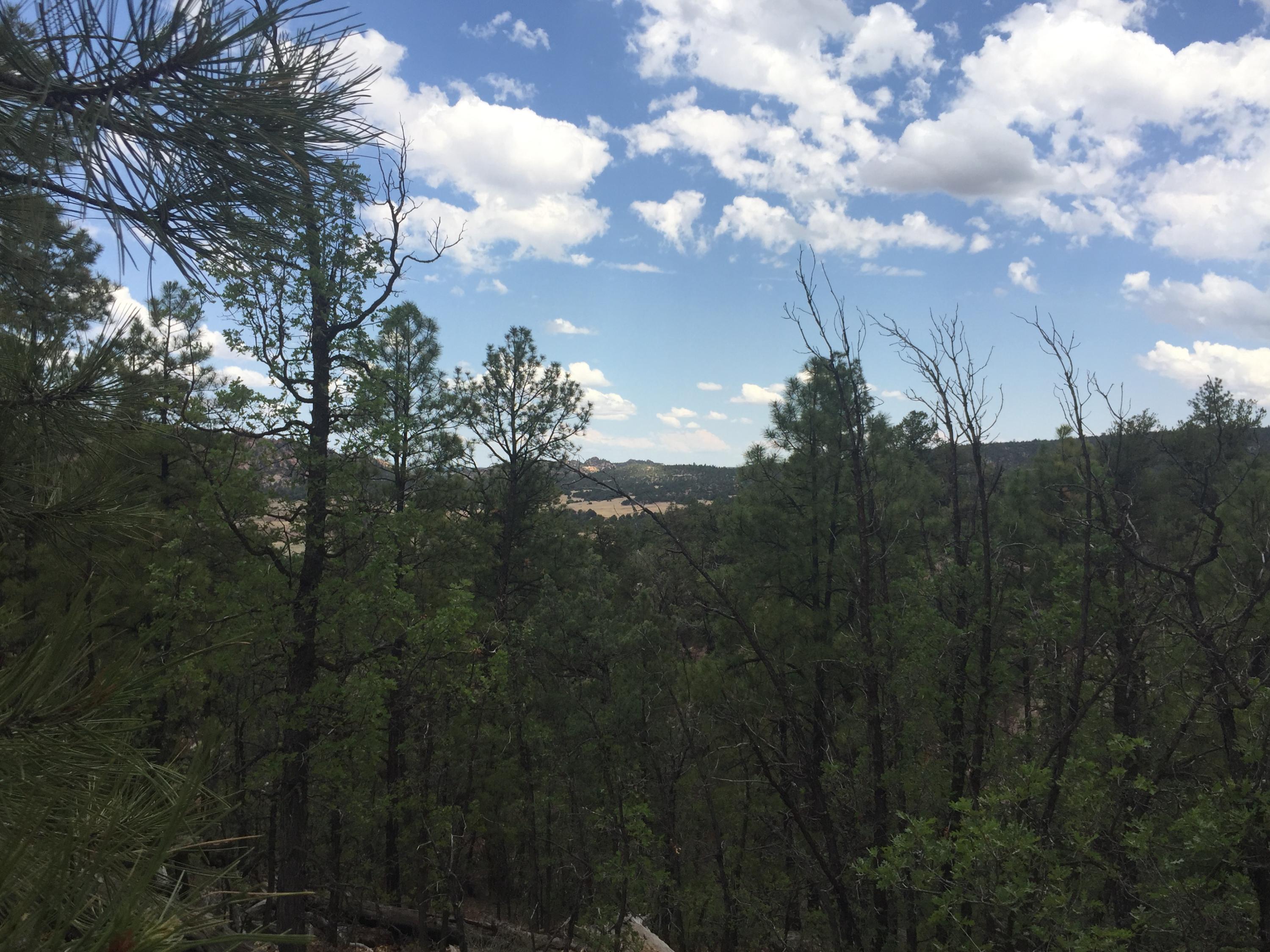 Photo 18 — Lots 20-23 Box S Ranch Road