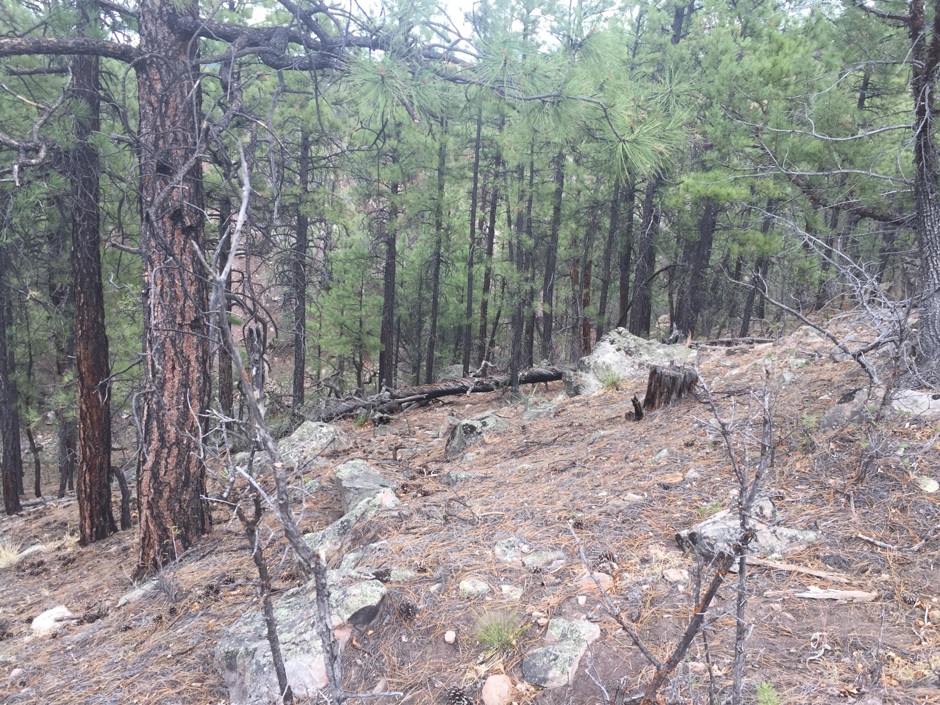 Photo 16 — Lots 20-23 Box S Ranch Road