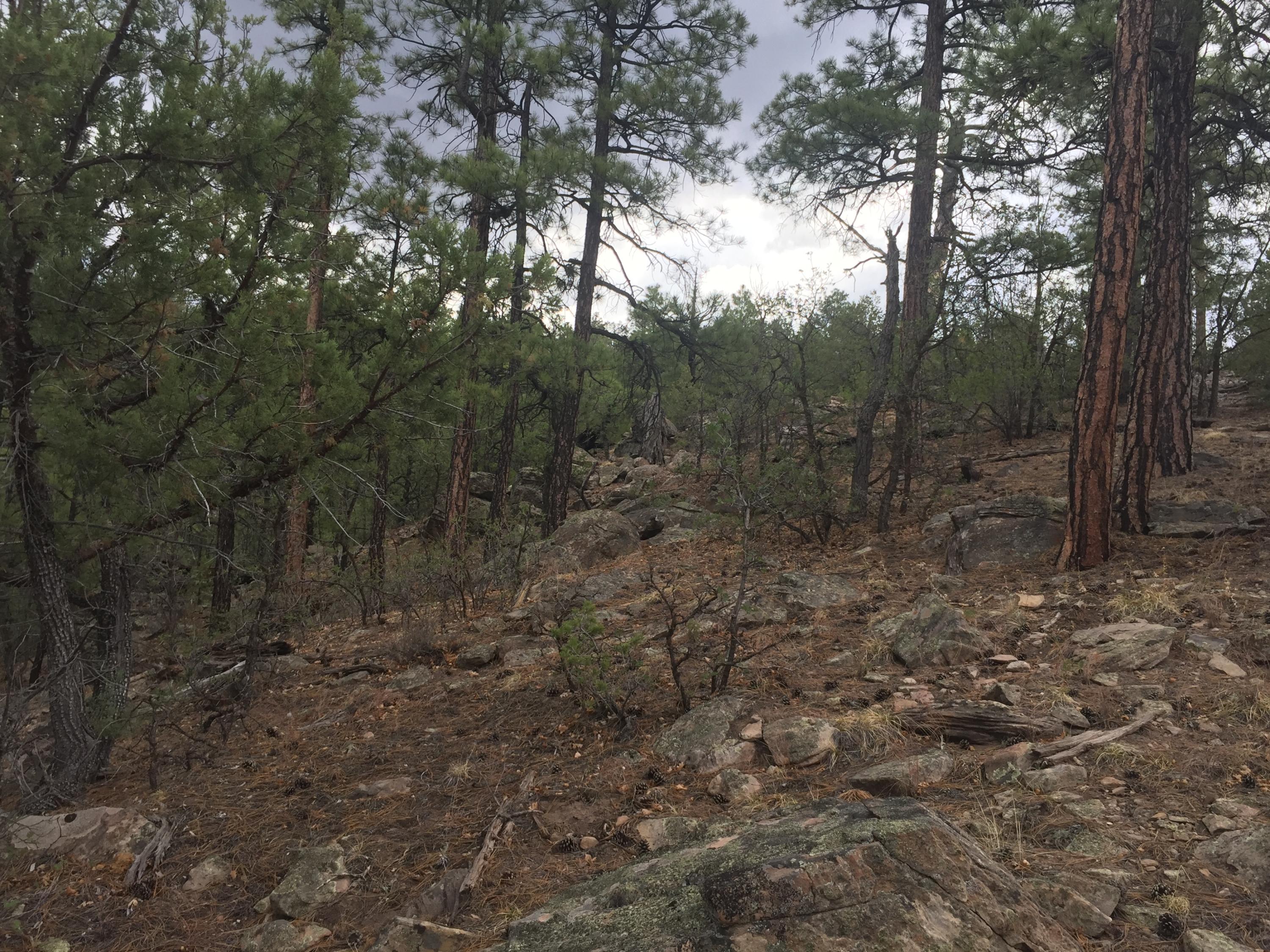 Photo 14 — Lots 20-23 Box S Ranch Road