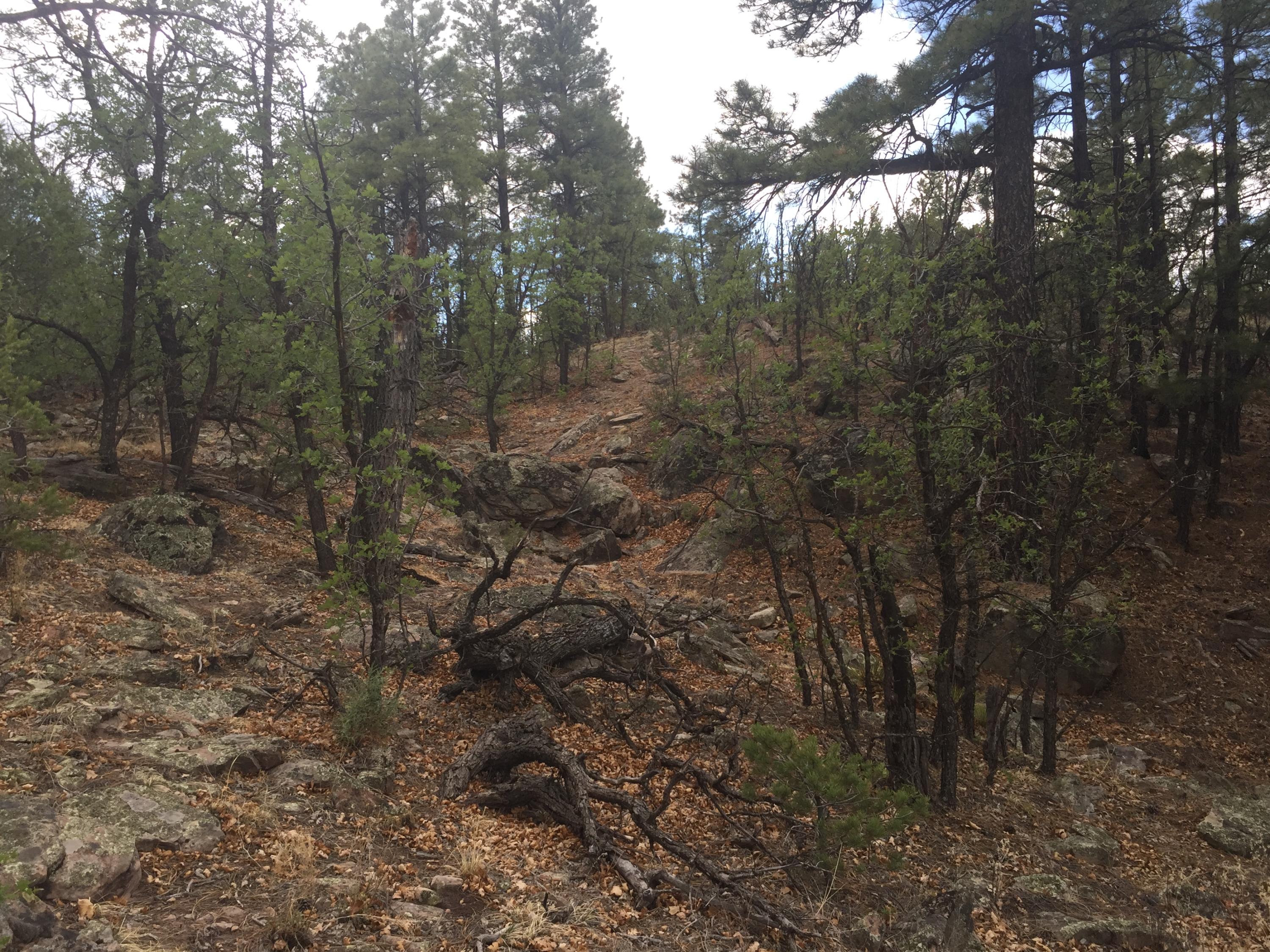 Photo 13 — Lots 20-23 Box S Ranch Road
