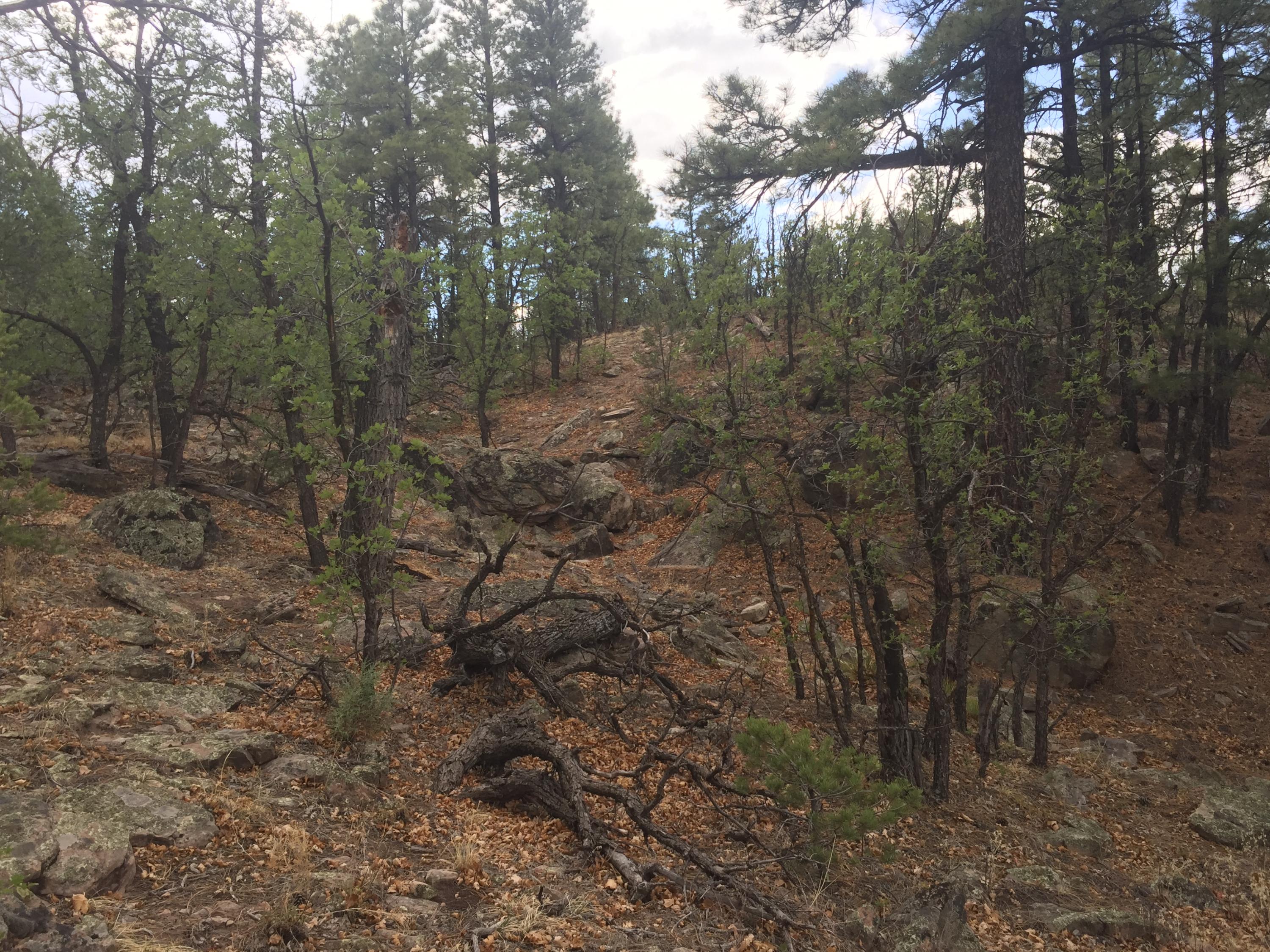 Photo 12 — Lots 20-23 Box S Ranch Road