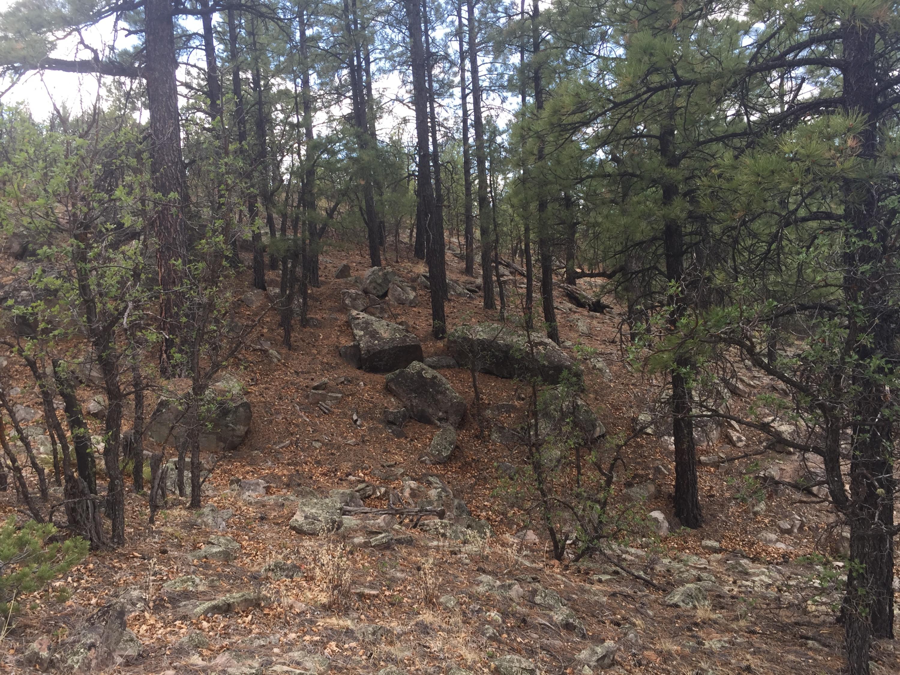 Photo 11 — Lots 20-23 Box S Ranch Road
