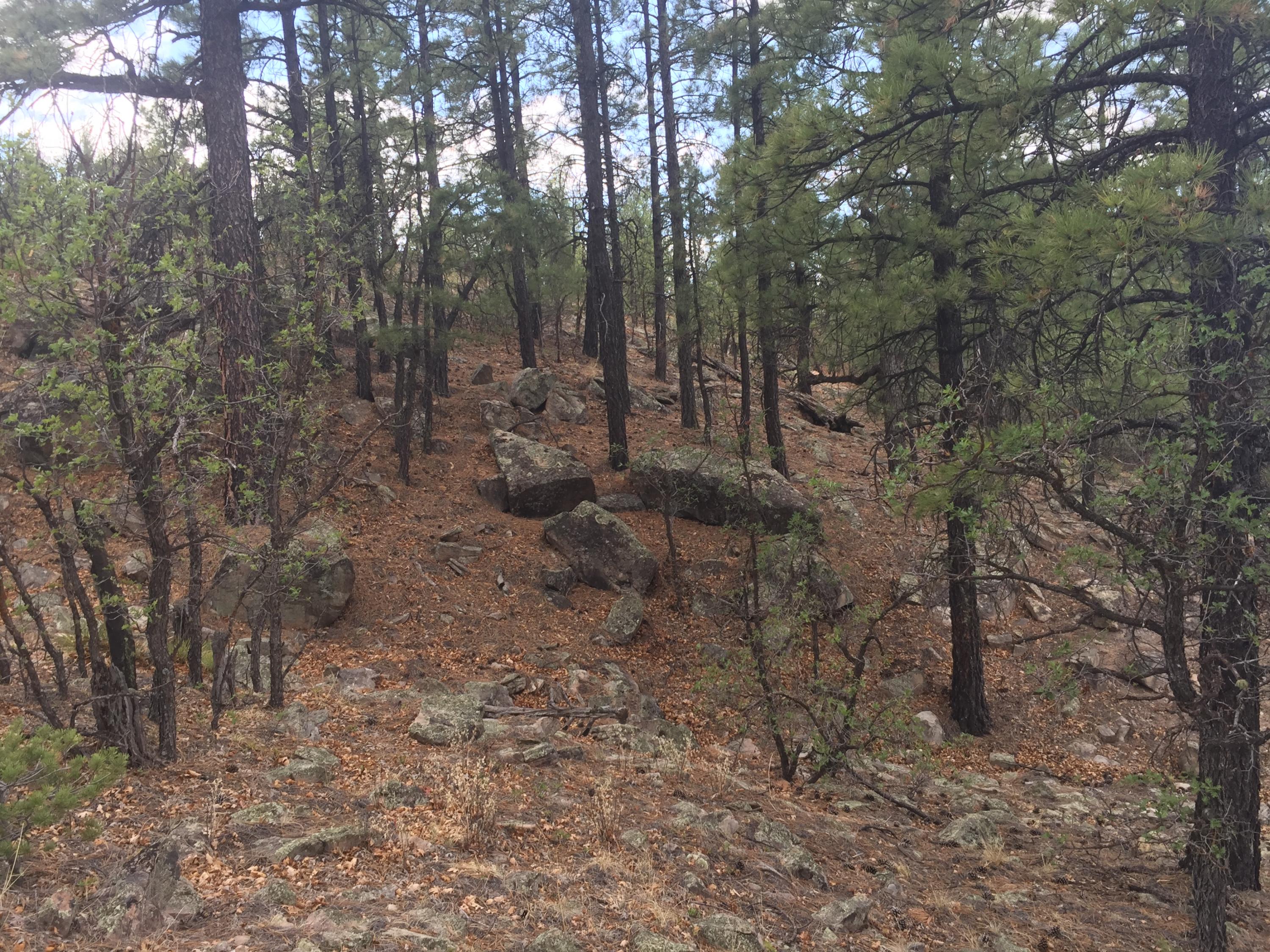Photo 10 — Lots 20-23 Box S Ranch Road