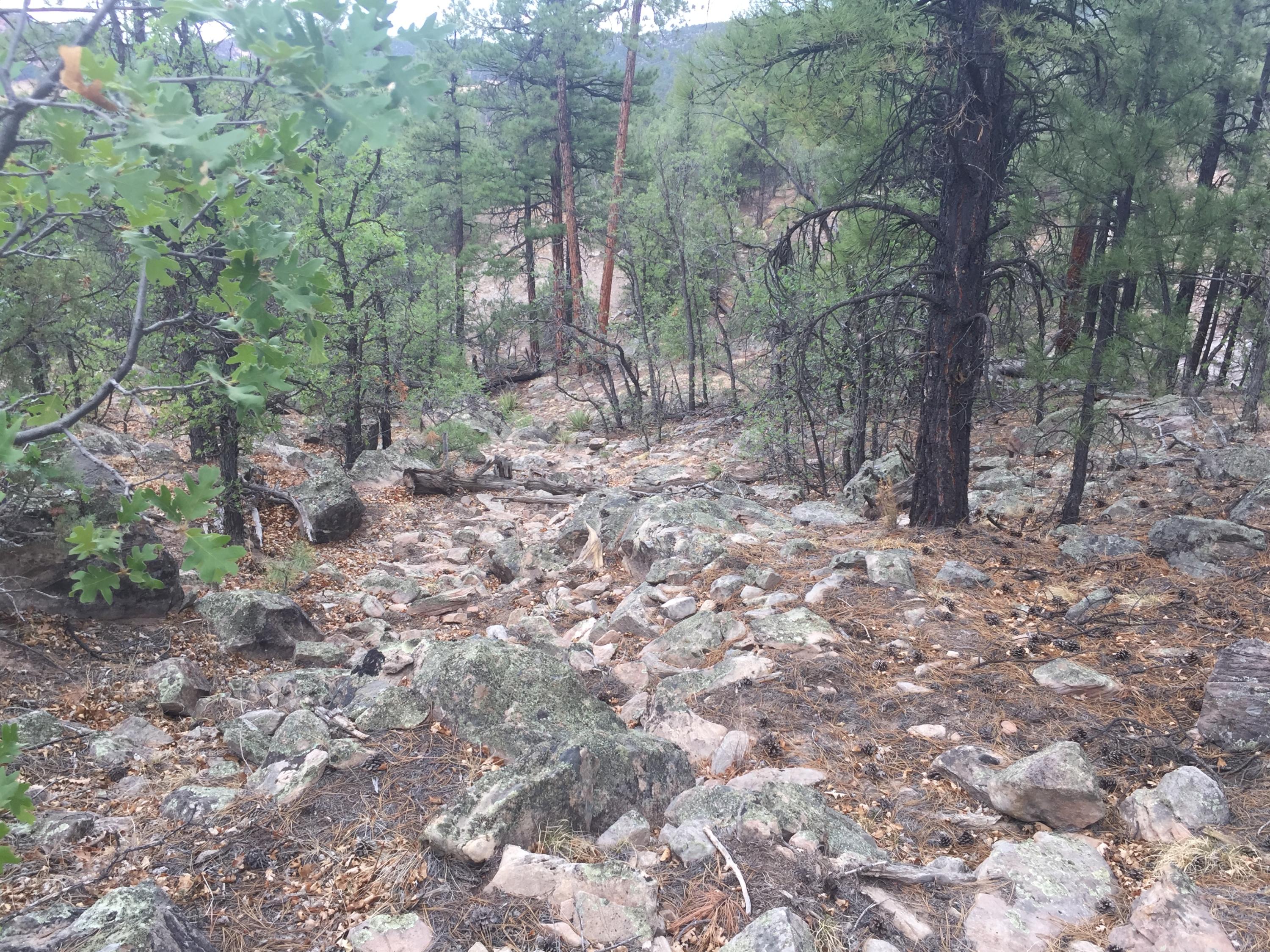 Photo 9 — Lots 20-23 Box S Ranch Road