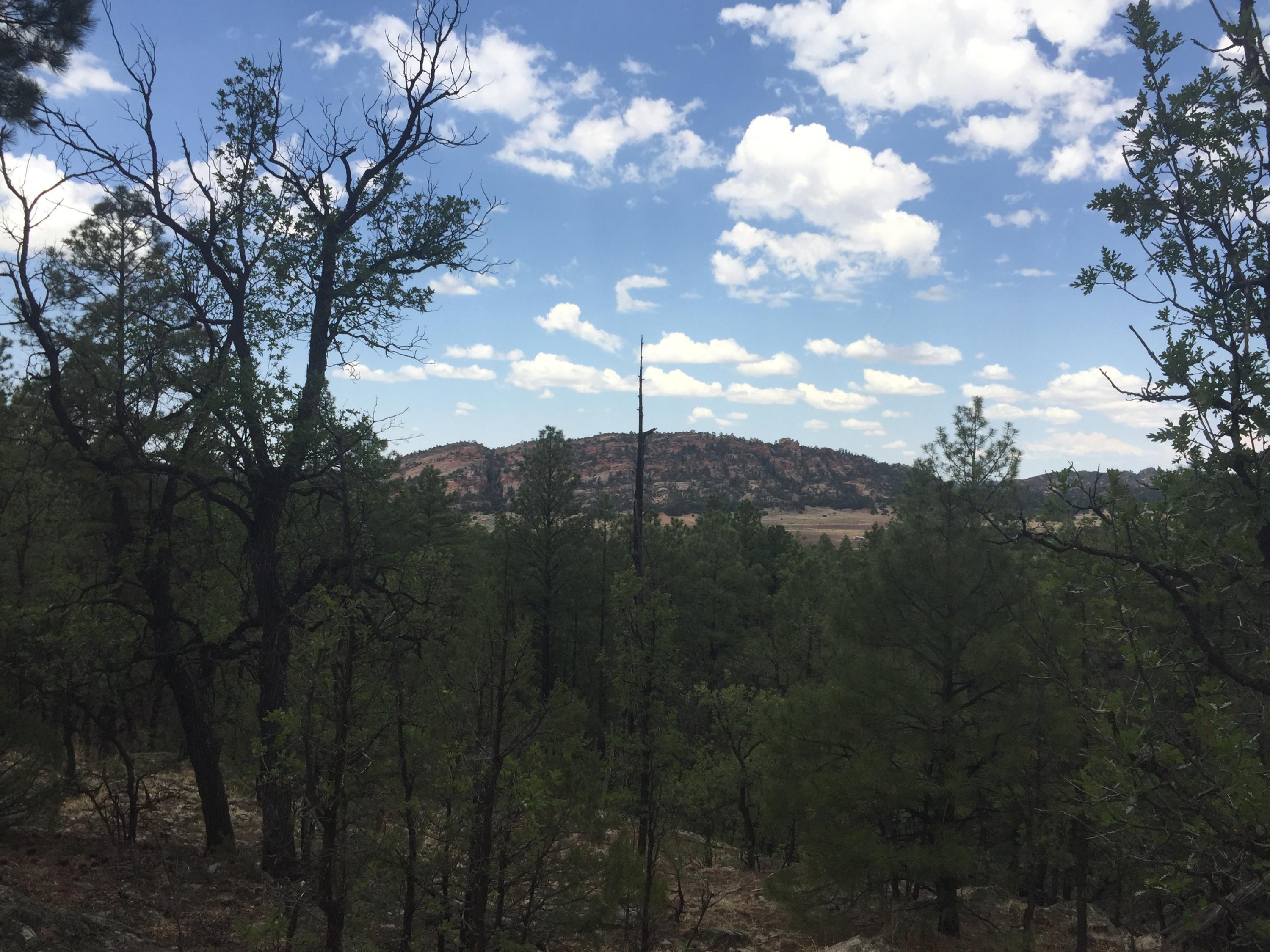 Photo 8 — Lots 20-23 Box S Ranch Road