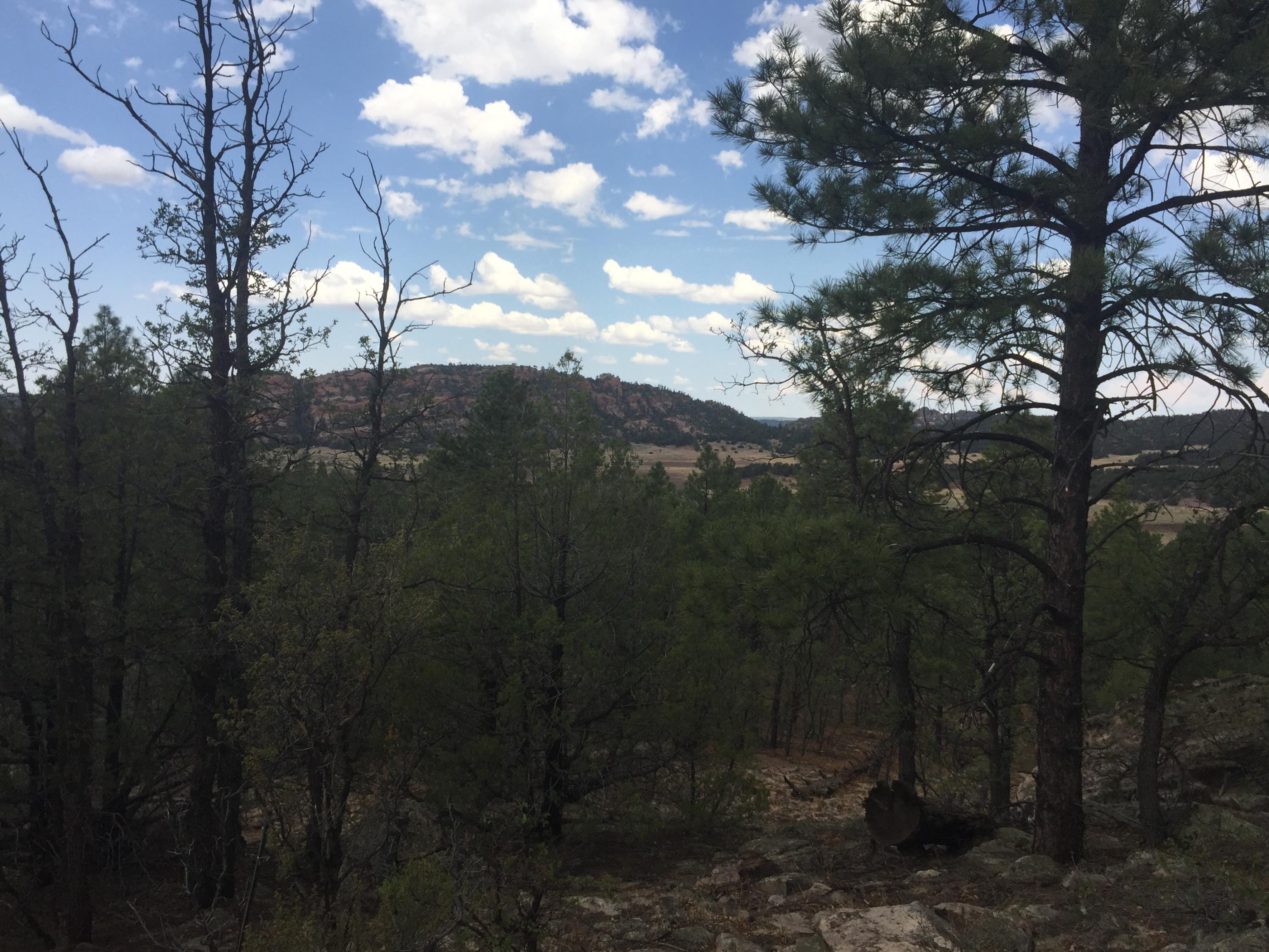 Photo 7 — Lots 20-23 Box S Ranch Road