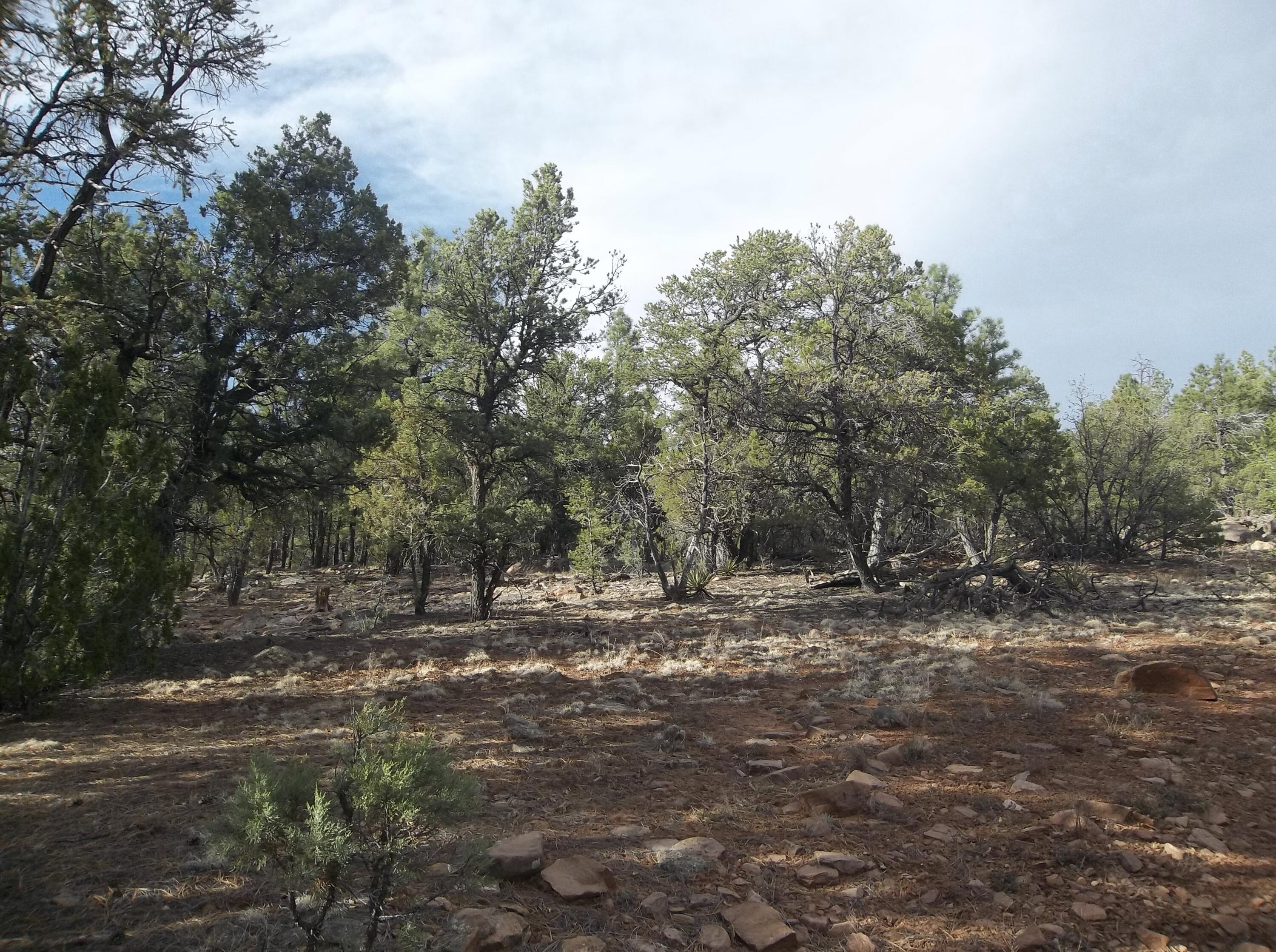 Photo 2 — Lots 20-23 Box S Ranch Road