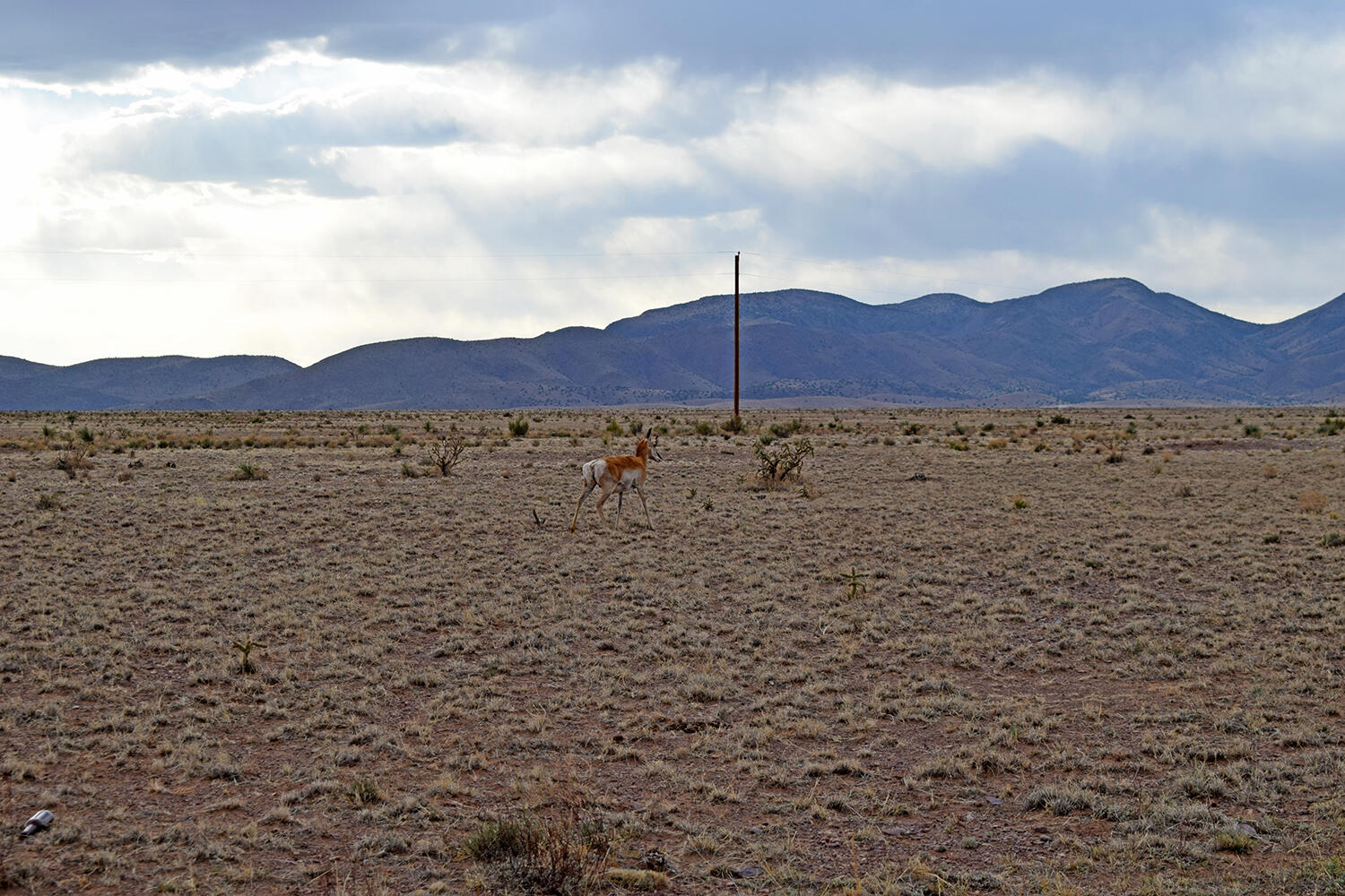 Photo 2 — Lot 3-69 High Chapparal Road